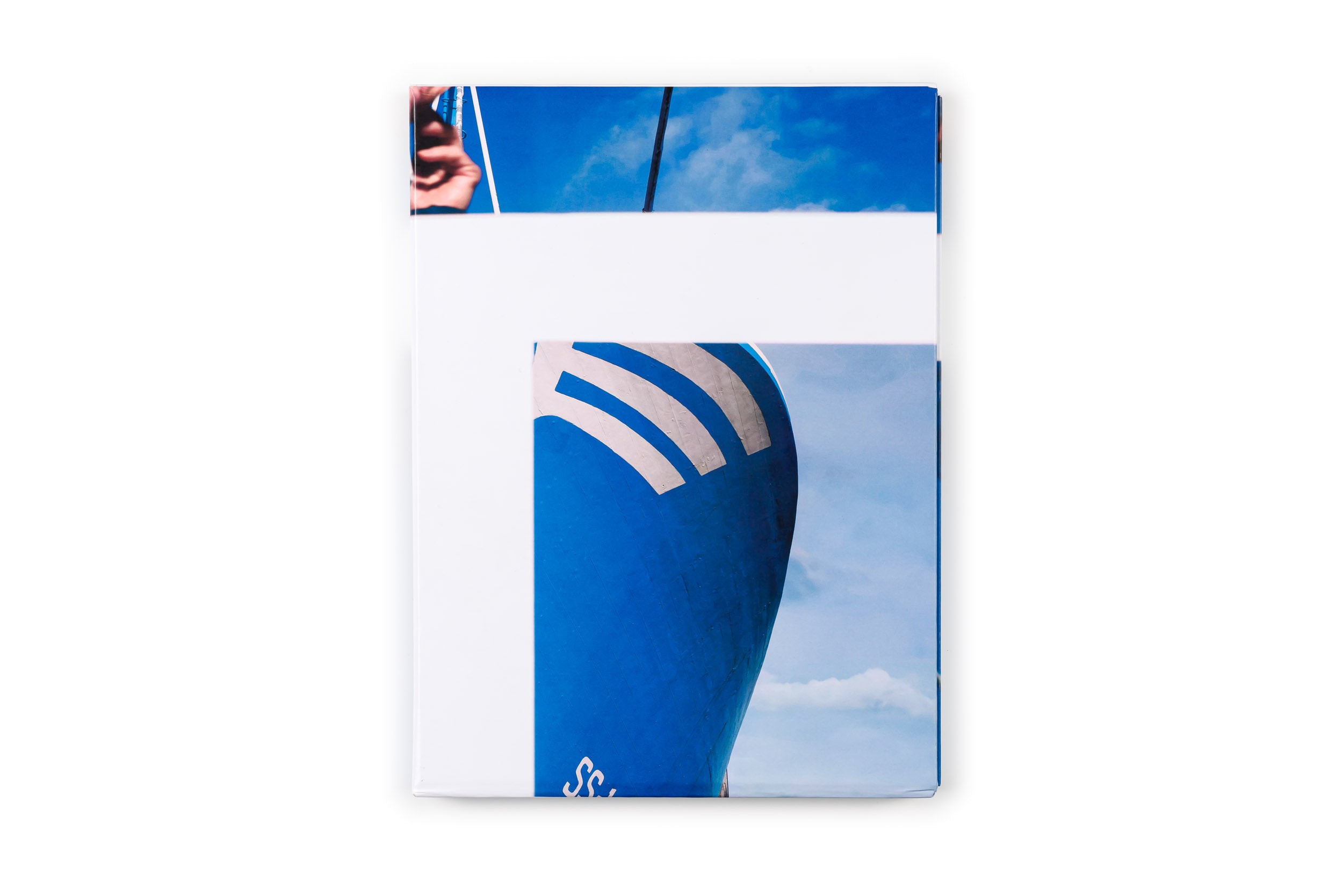 Los tamarindos de La Concha | RIcardo Cases