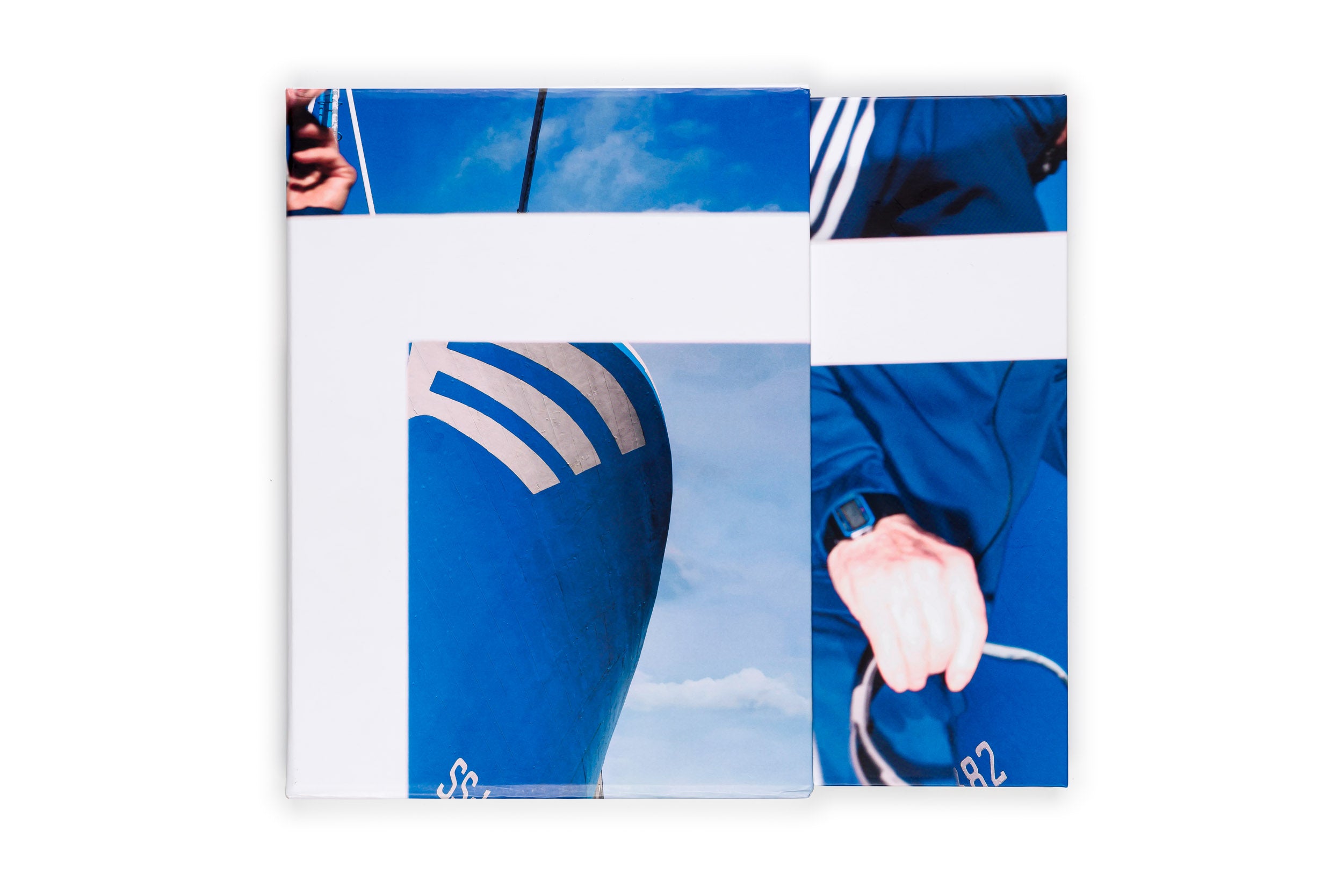 Los tamarindos de La Concha | RIcardo Cases