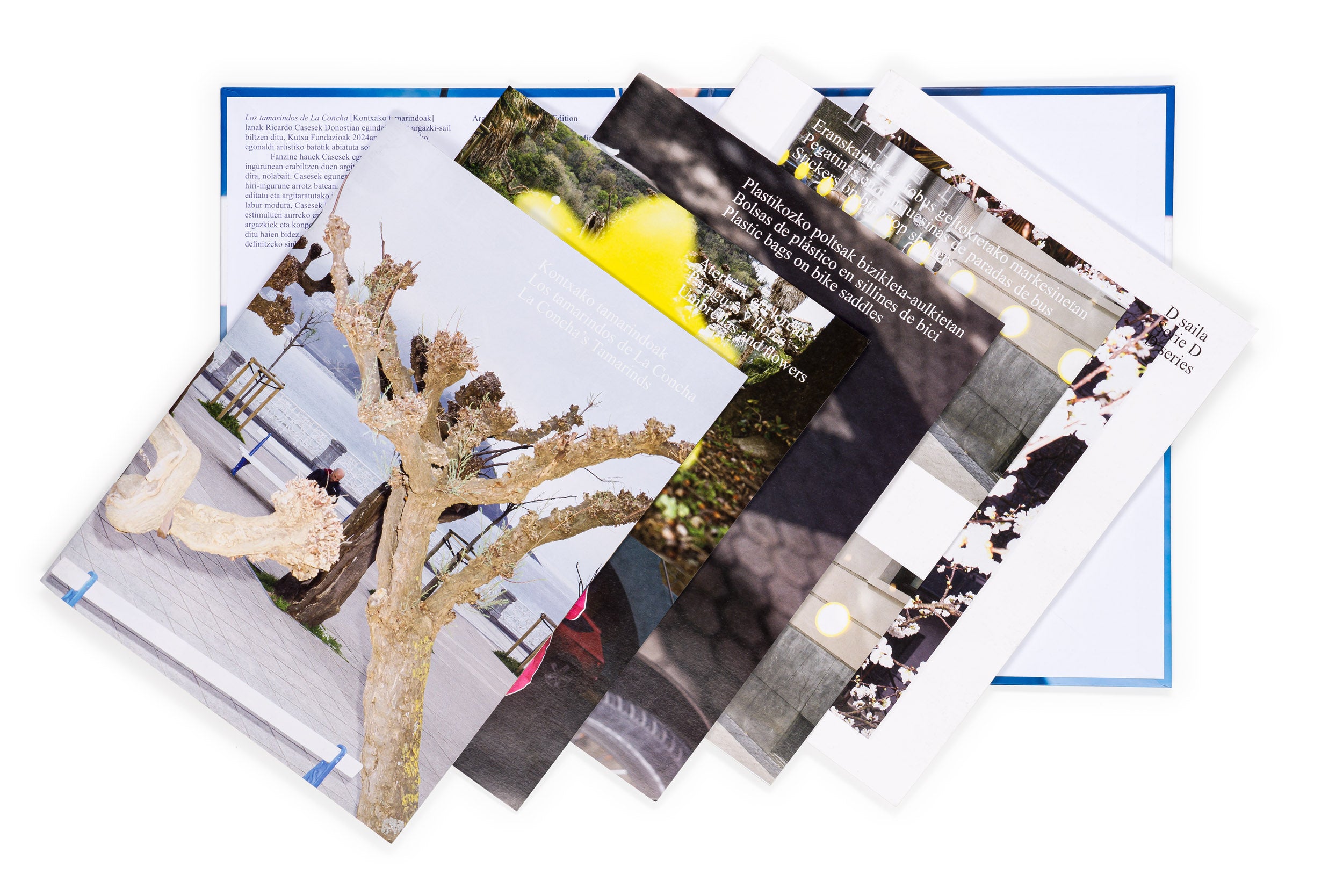 Los tamarindos de La Concha | RIcardo Cases