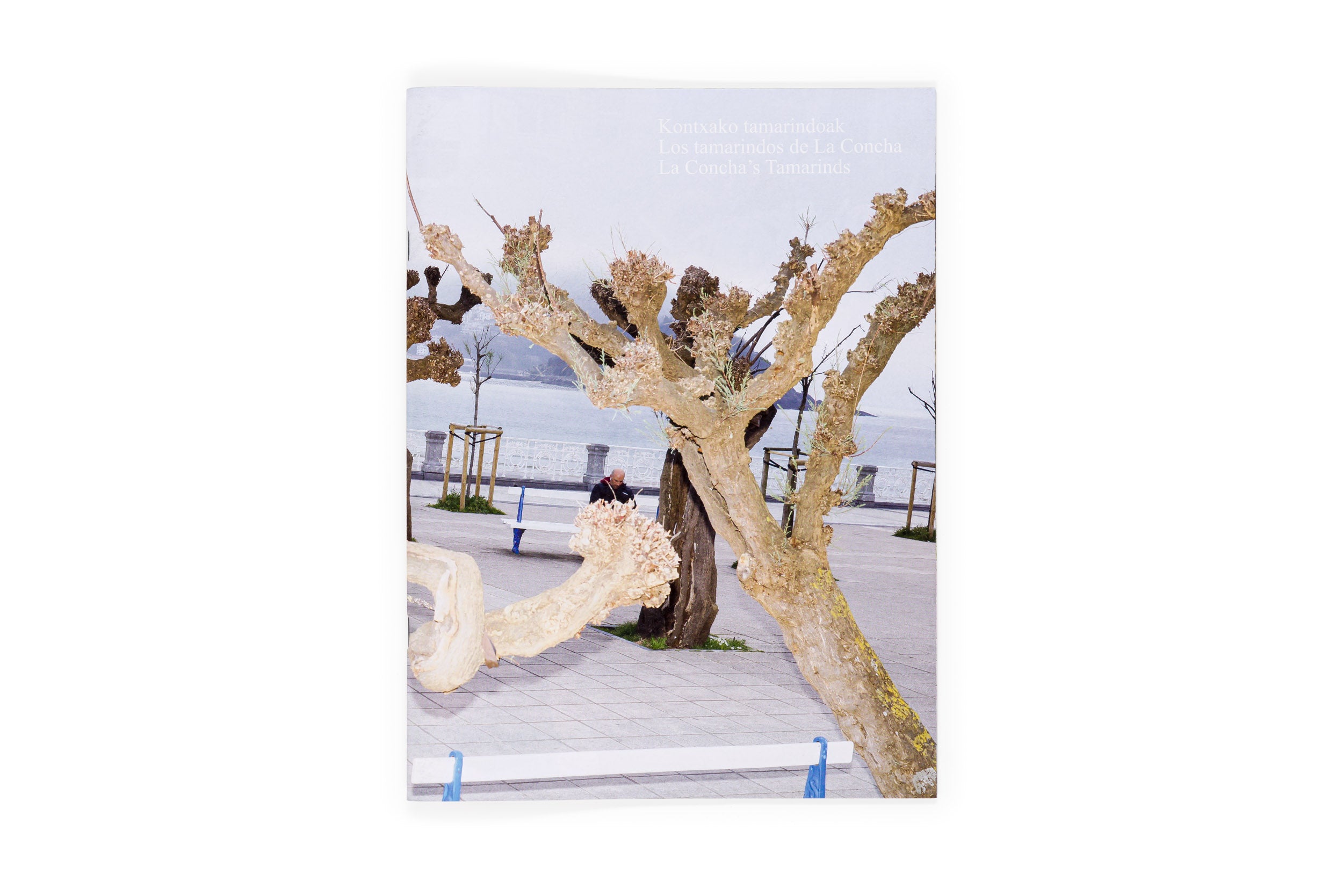 Los tamarindos de La Concha | RIcardo Cases