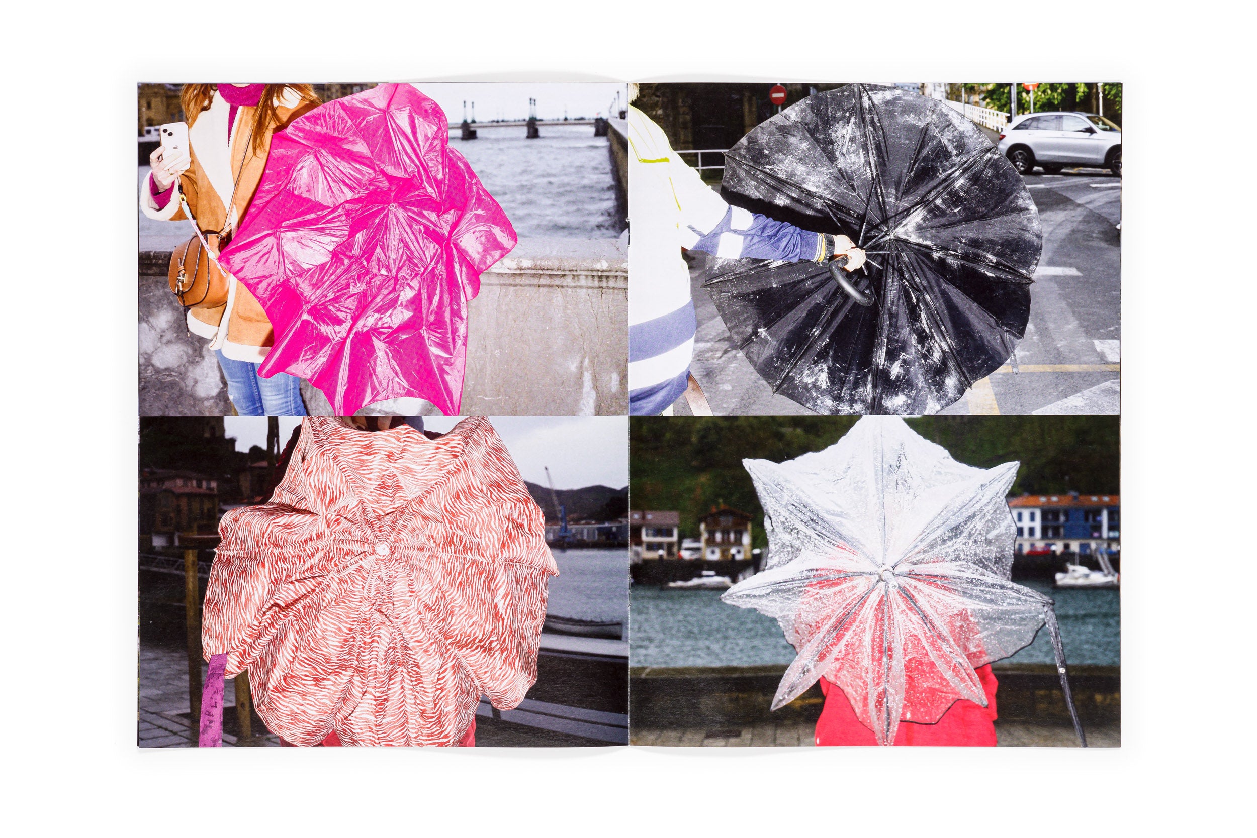 Los tamarindos de La Concha | RIcardo Cases