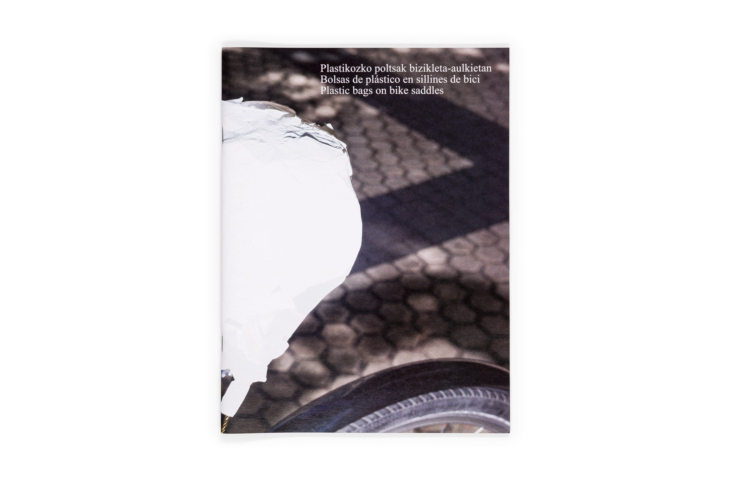 Los tamarindos de La Concha | RIcardo Cases