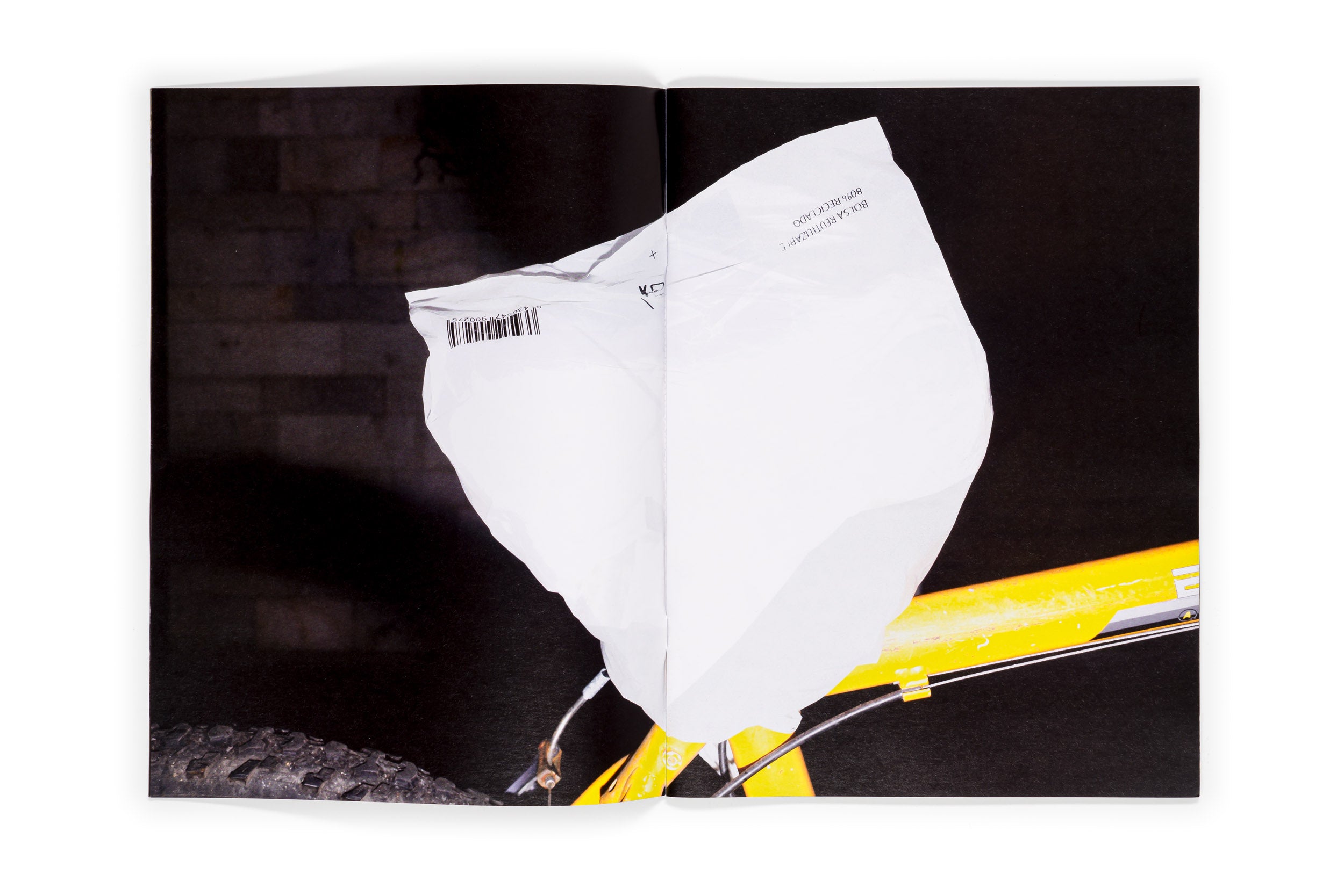 Los tamarindos de La Concha | RIcardo Cases