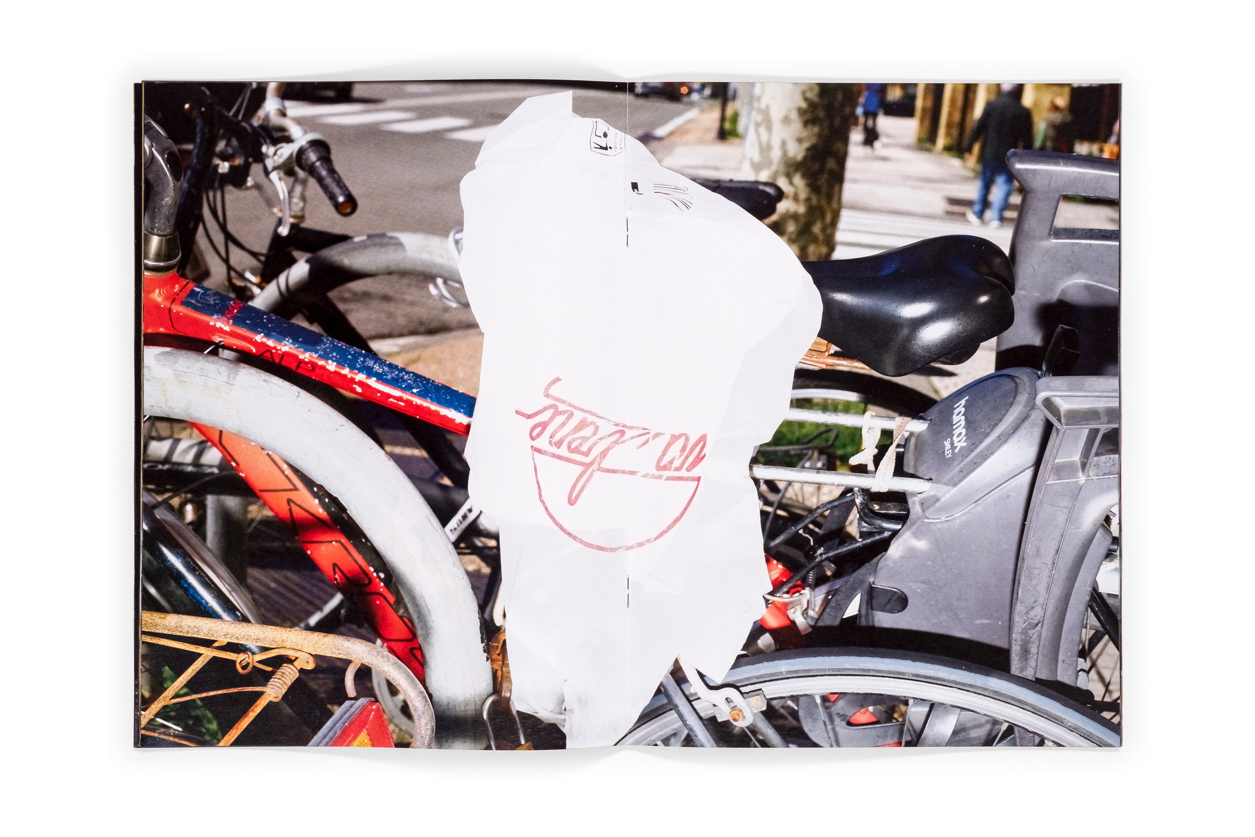 Los tamarindos de La Concha | RIcardo Cases