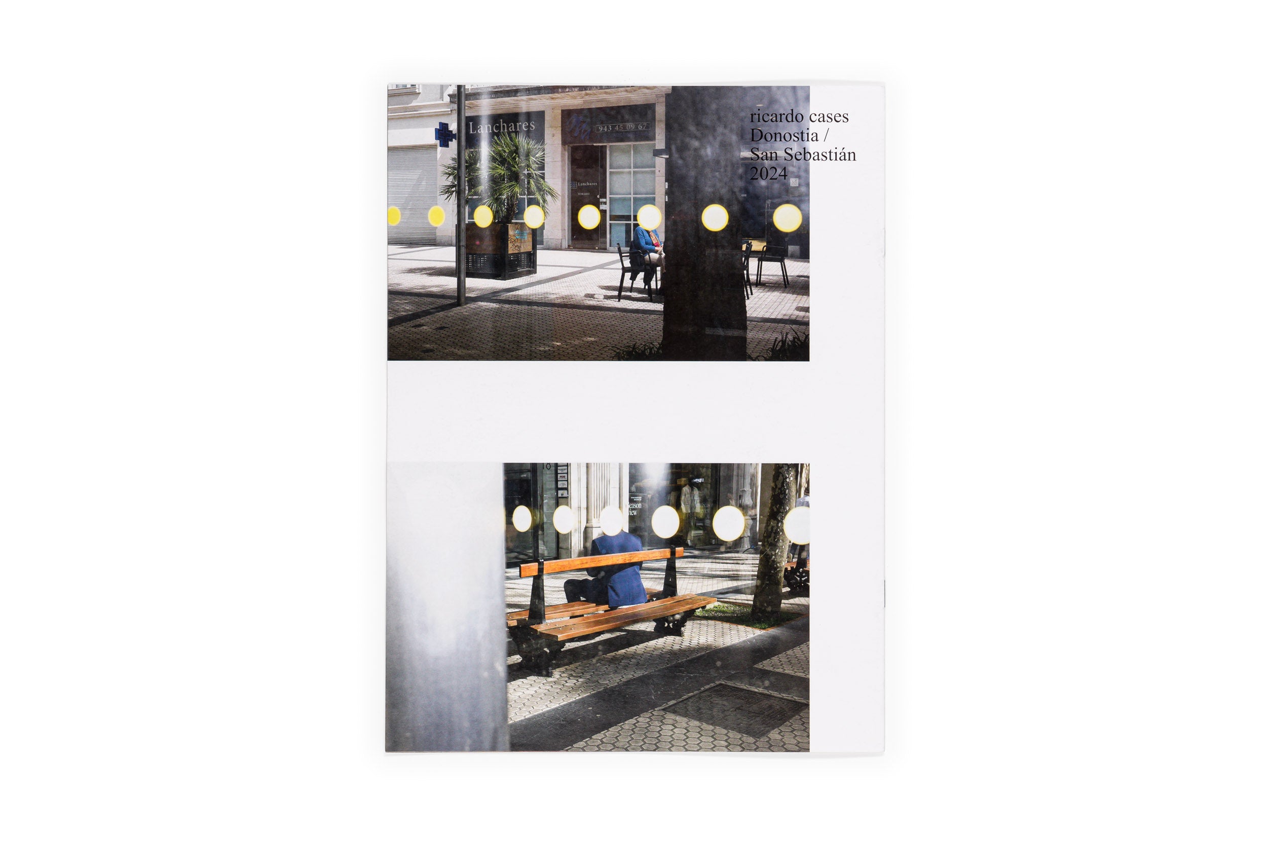 Los tamarindos de La Concha | RIcardo Cases