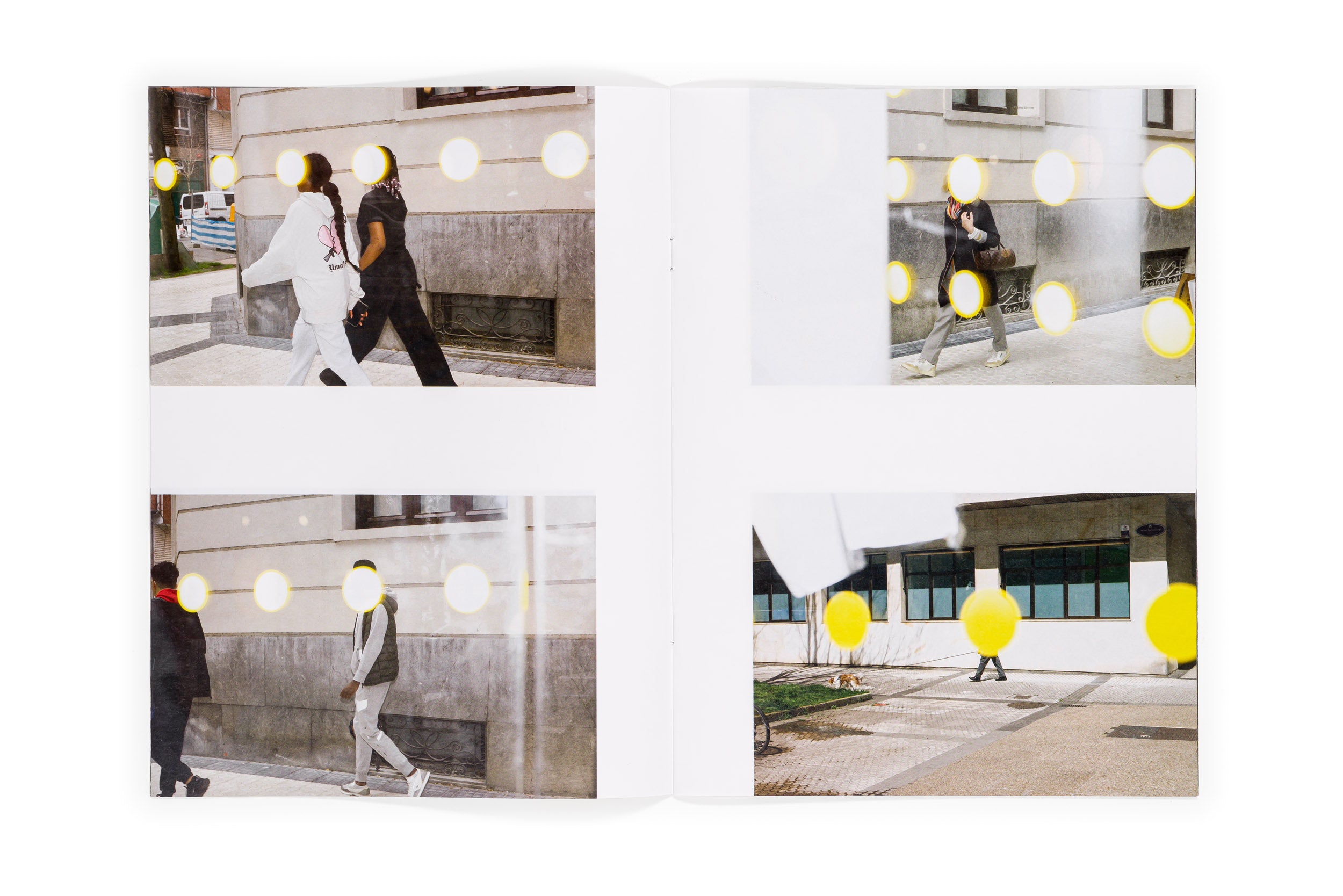 Los tamarindos de La Concha | RIcardo Cases