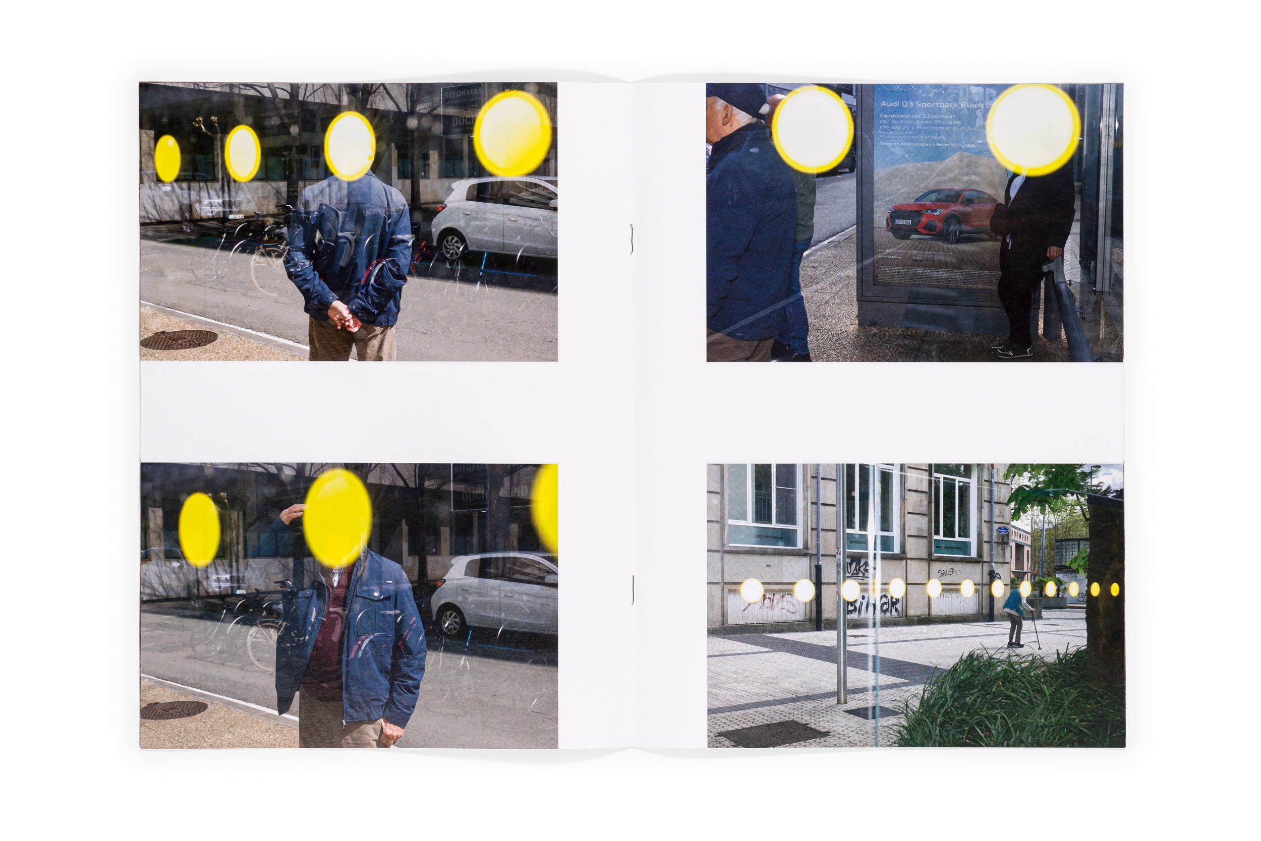 Los tamarindos de La Concha | RIcardo Cases