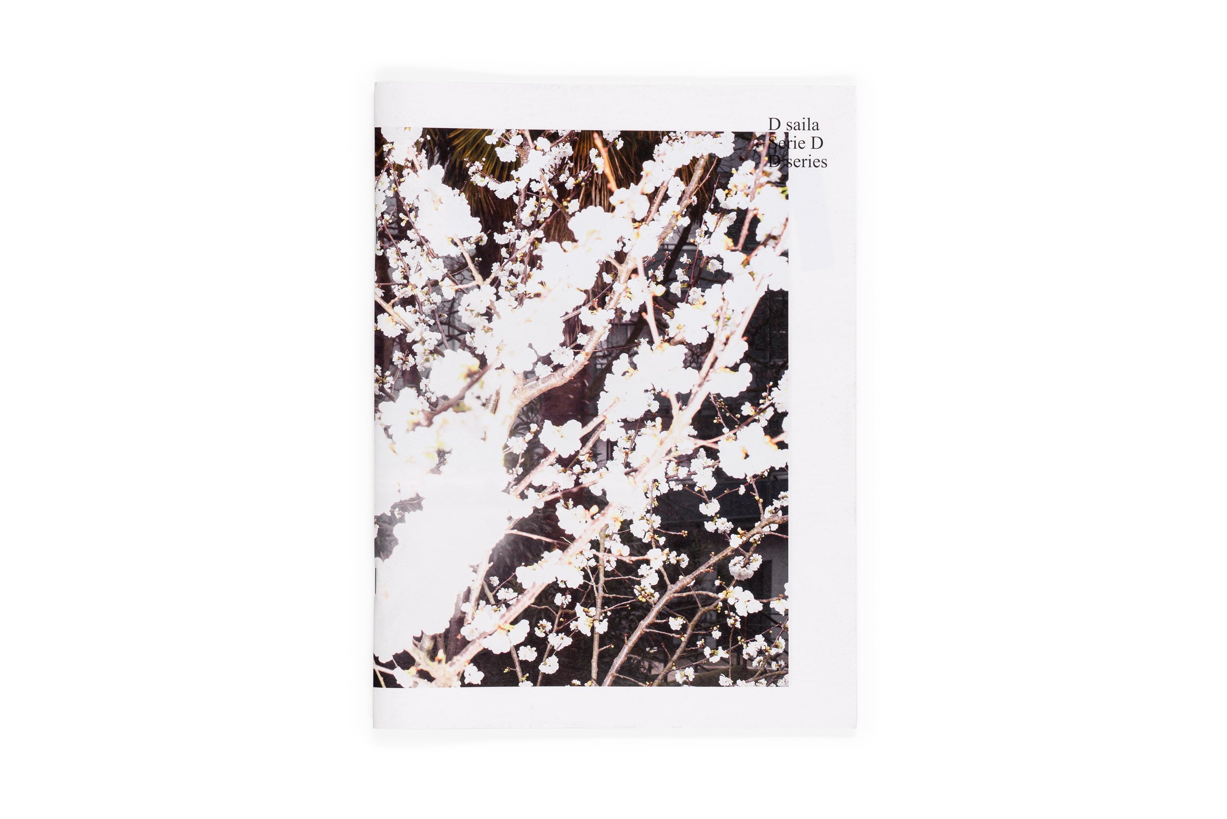 Los tamarindos de La Concha | RIcardo Cases