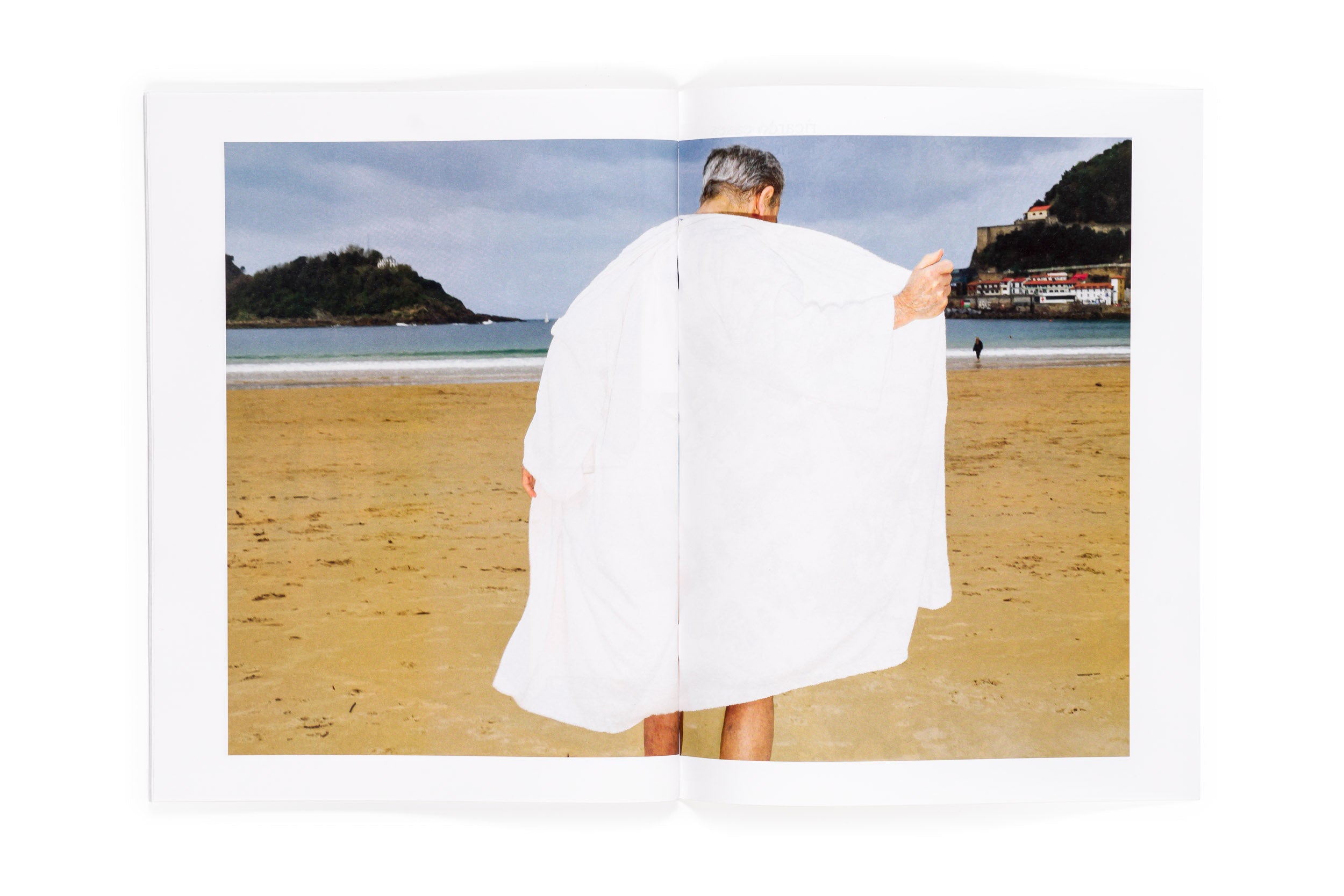 Los tamarindos de La Concha | RIcardo Cases