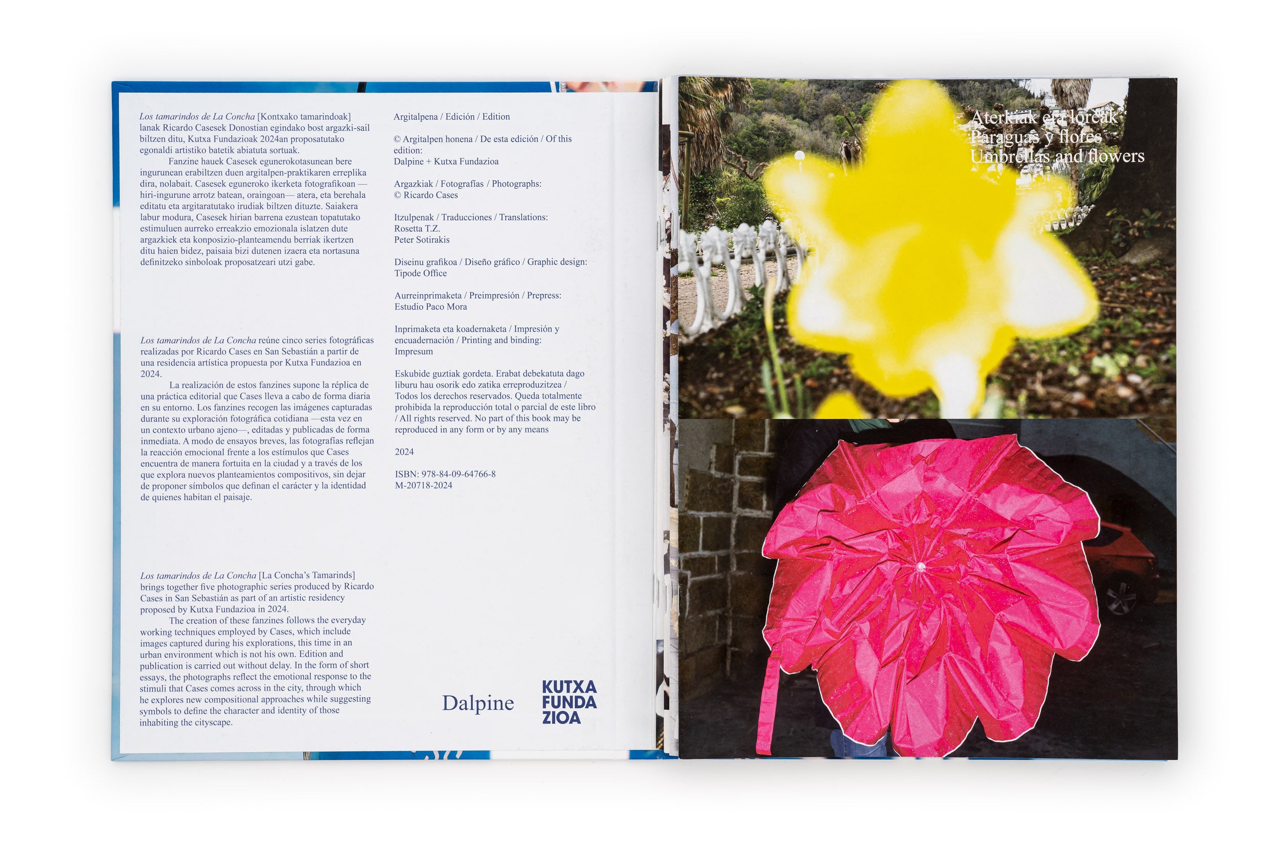 Los tamarindos de La Concha | RIcardo Cases