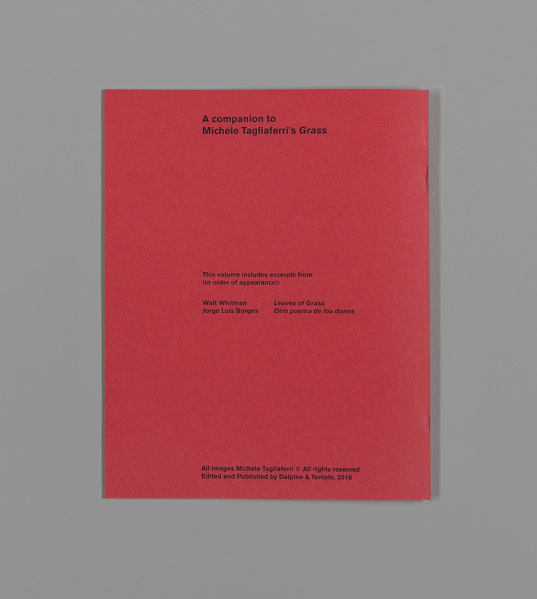 A Companion to Michele Tagliaferri's 'Grass' - Michele Tagliaferri