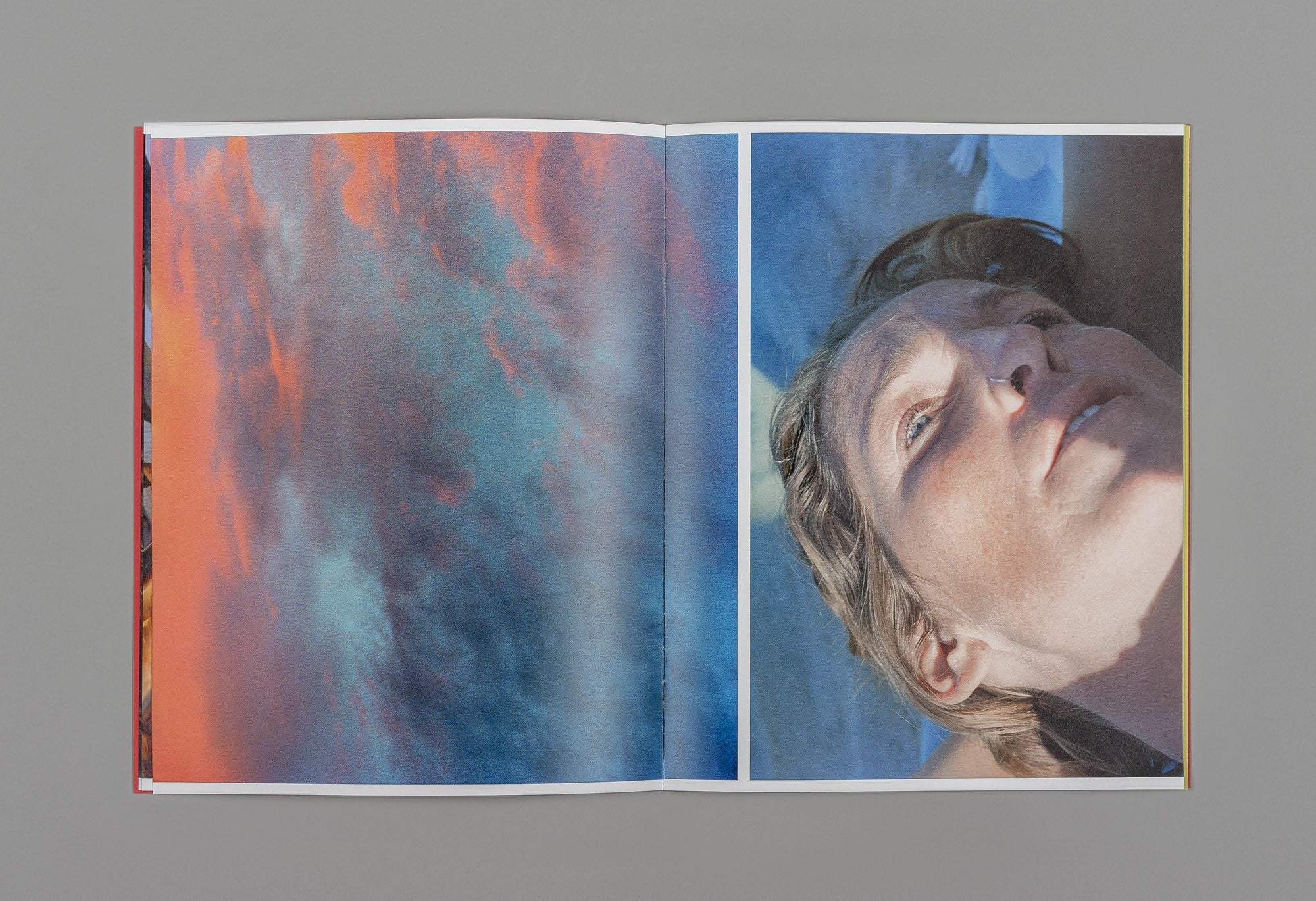 A Companion to Michele Tagliaferri's 'Grass' - Michele Tagliaferri