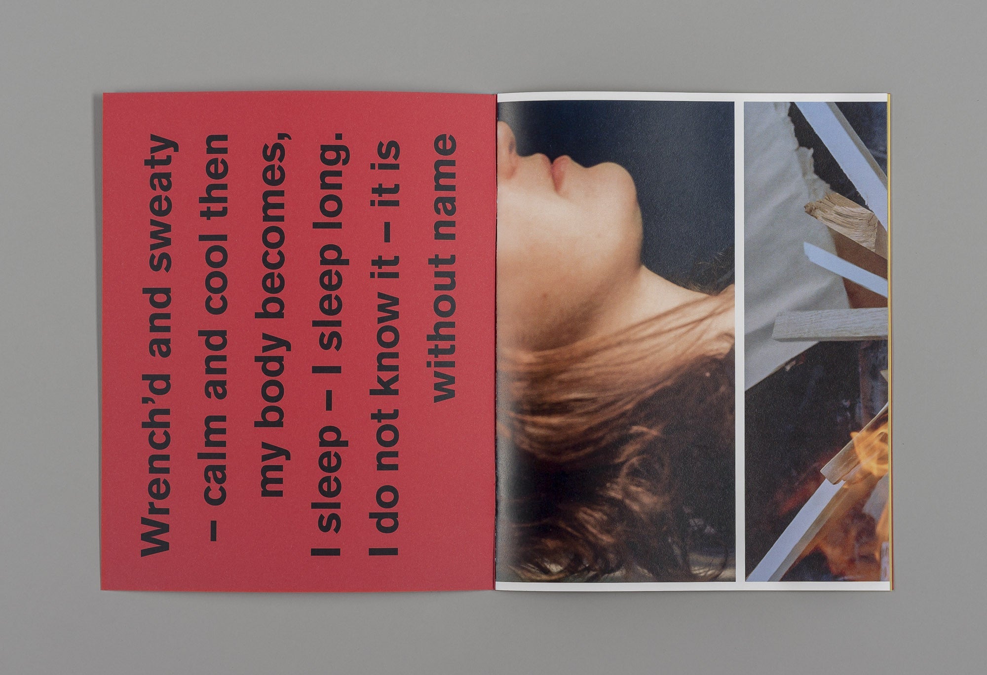 A Companion to Michele Tagliaferri's 'Grass' - Michele Tagliaferri