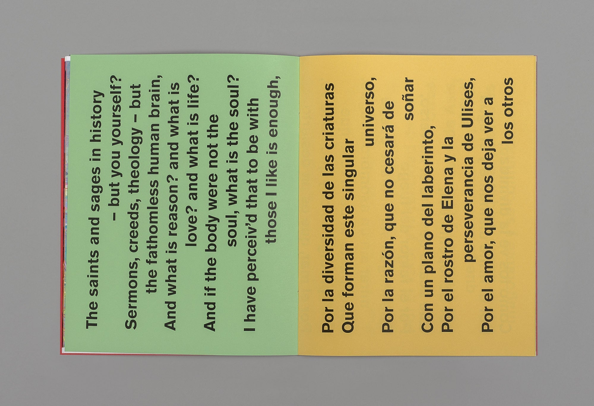 A Companion to Michele Tagliaferri's 'Grass' - Michele Tagliaferri