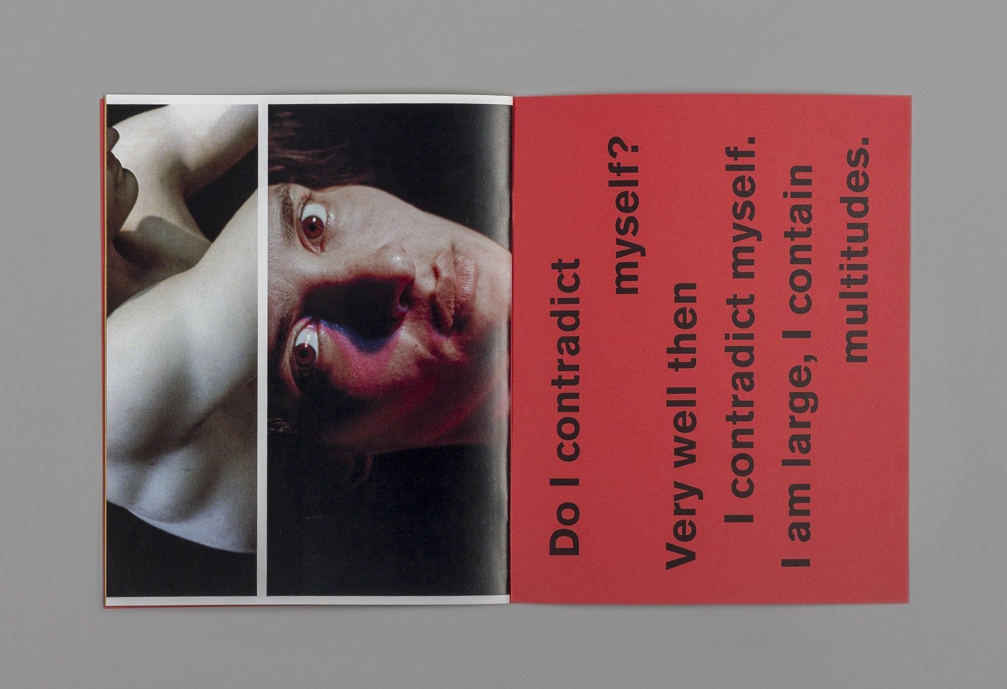 A Companion to Michele Tagliaferri's 'Grass' - Michele Tagliaferri