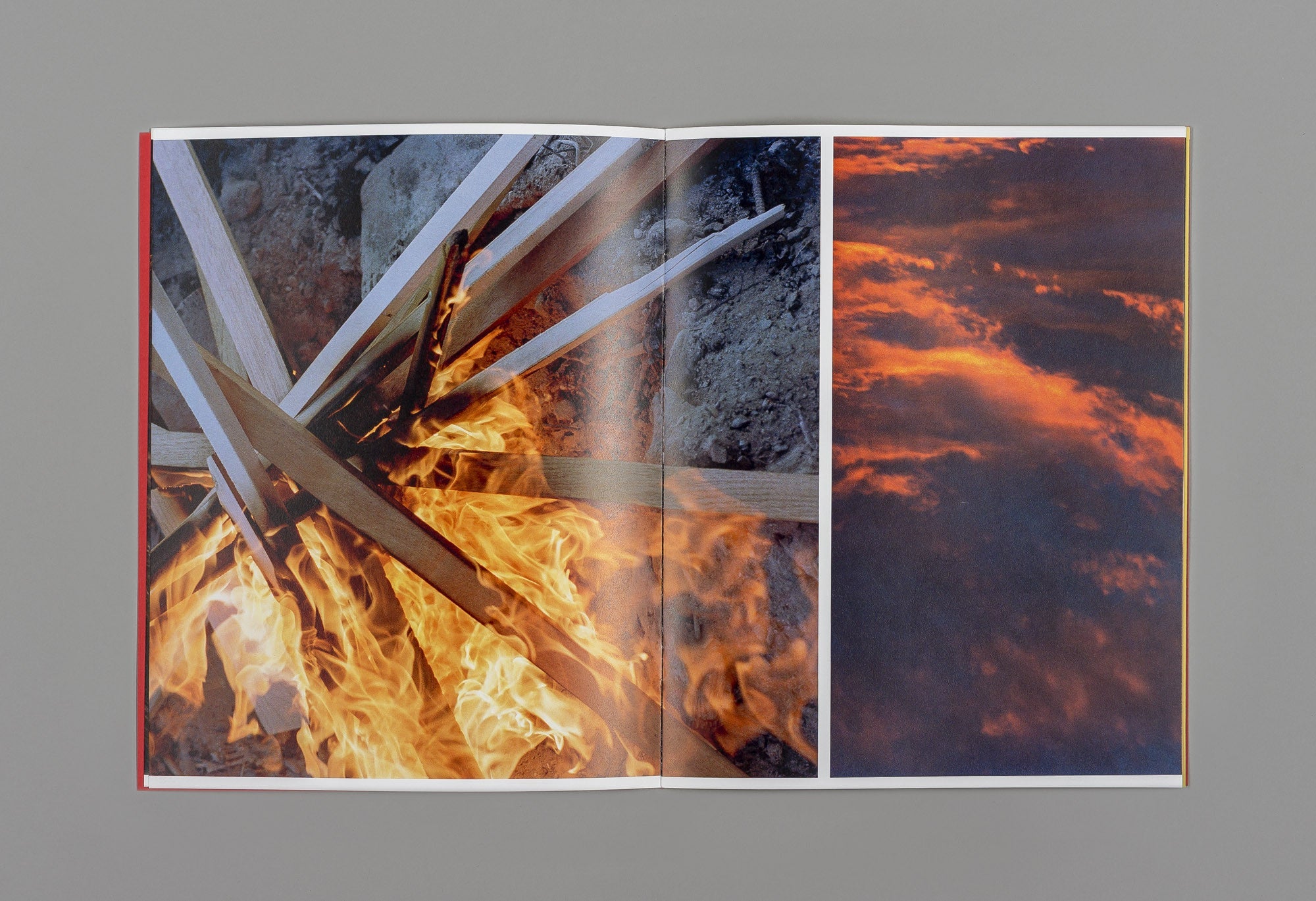 A Companion to Michele Tagliaferri's 'Grass' - Michele Tagliaferri