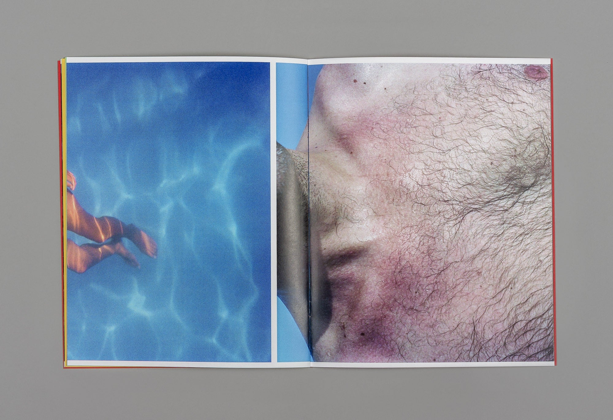 A Companion to Michele Tagliaferri's 'Grass' - Michele Tagliaferri