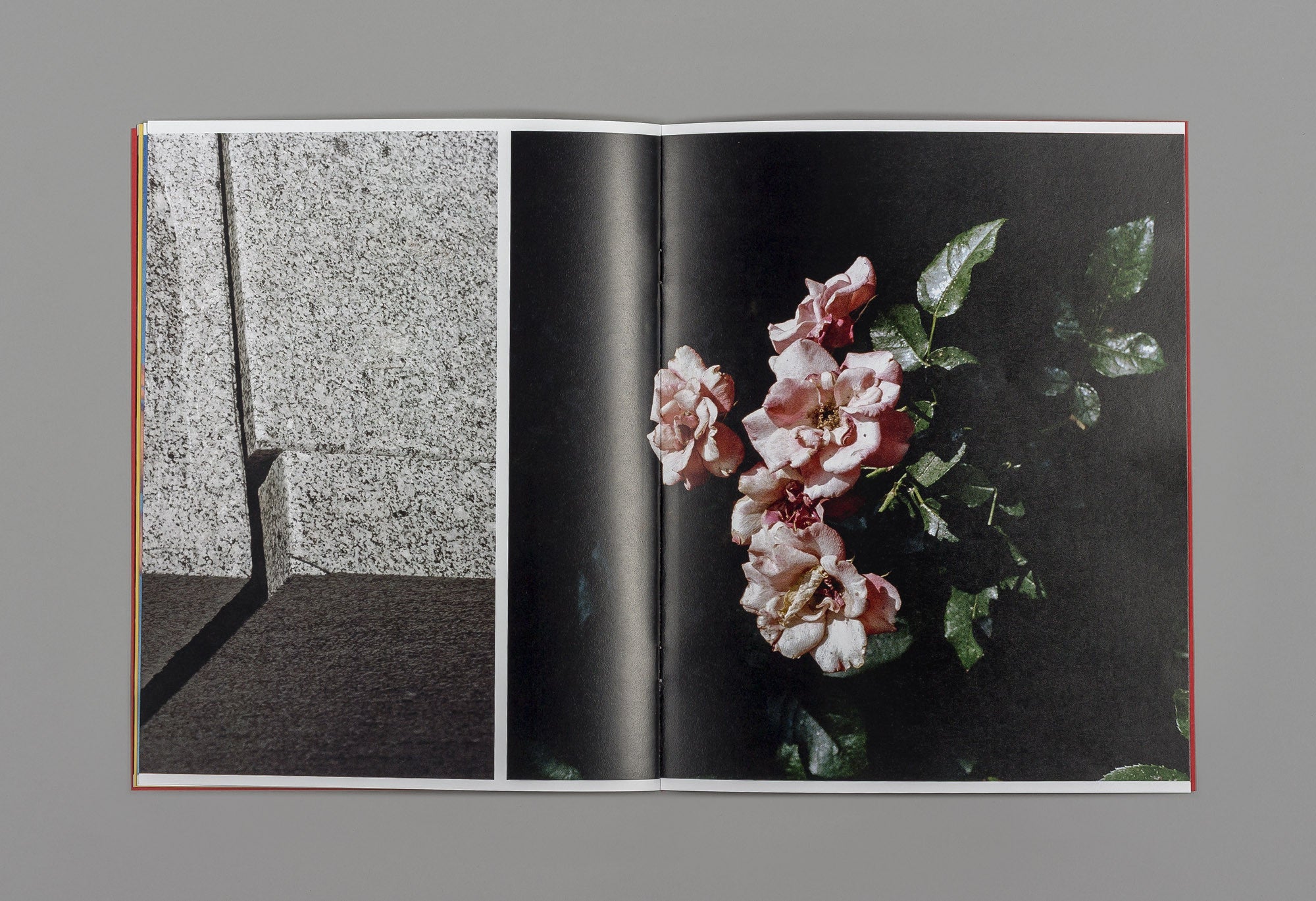 A Companion to Michele Tagliaferri's 'Grass' - Michele Tagliaferri