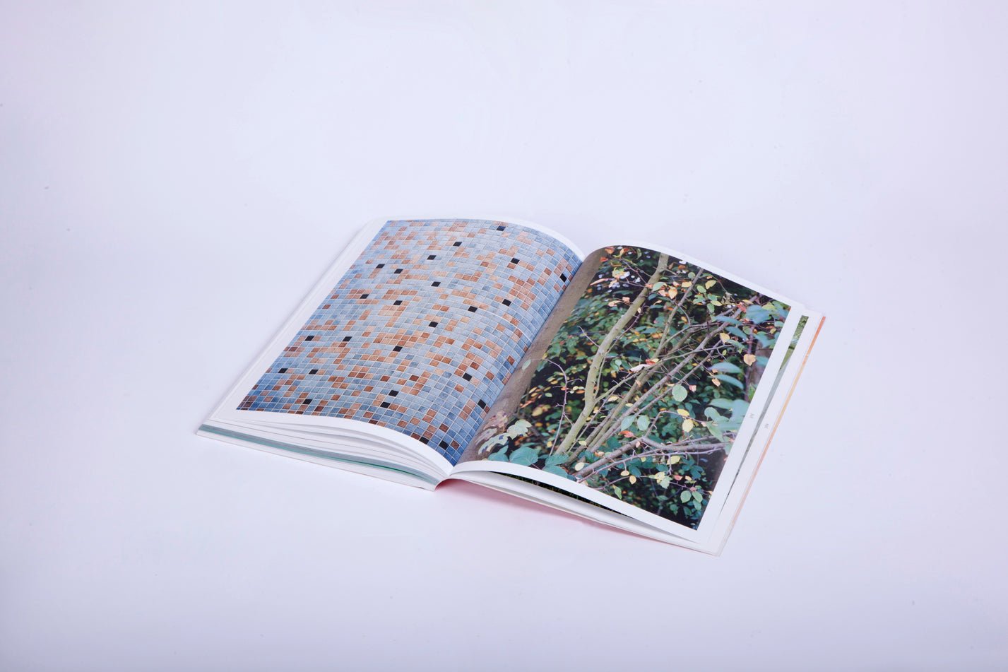 A Swimming Pool - Michele Tagliaferri