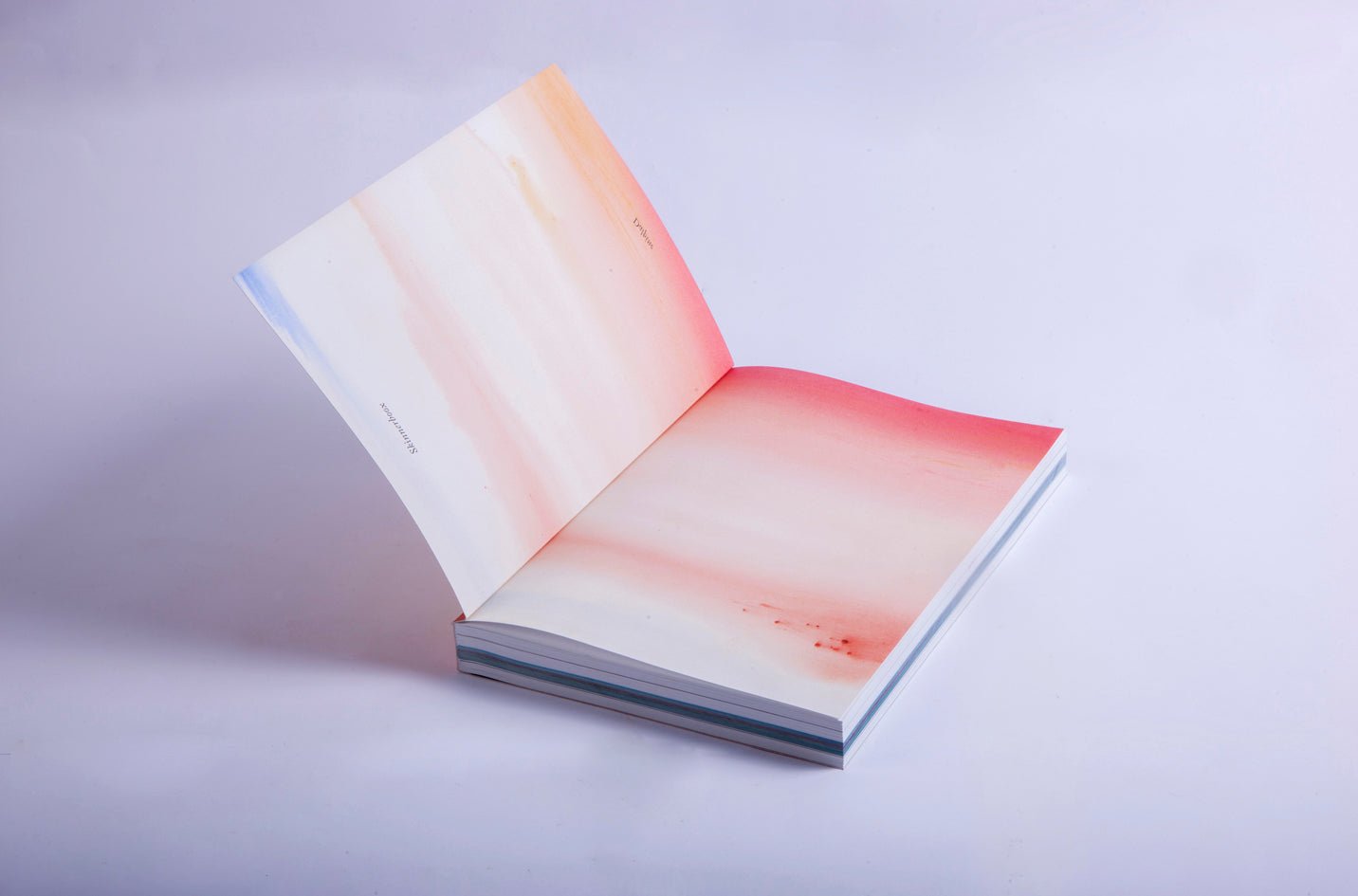 A Swimming Pool - Michele Tagliaferri