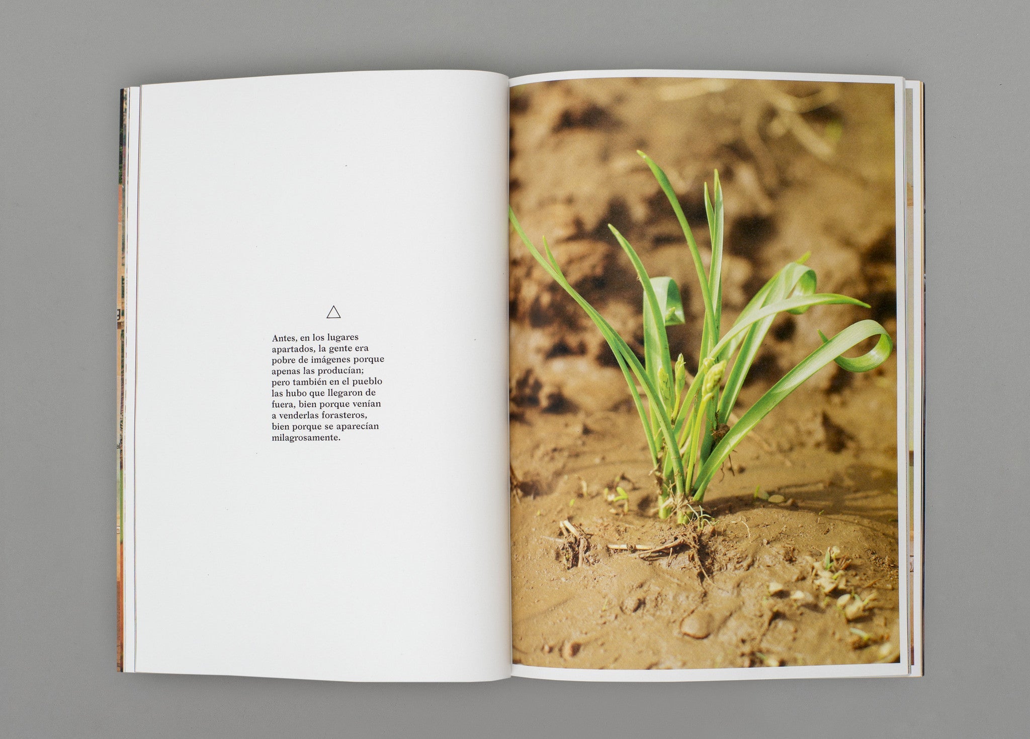 El Blanco - Ricardo Cases & Iván del Rey de la Torre