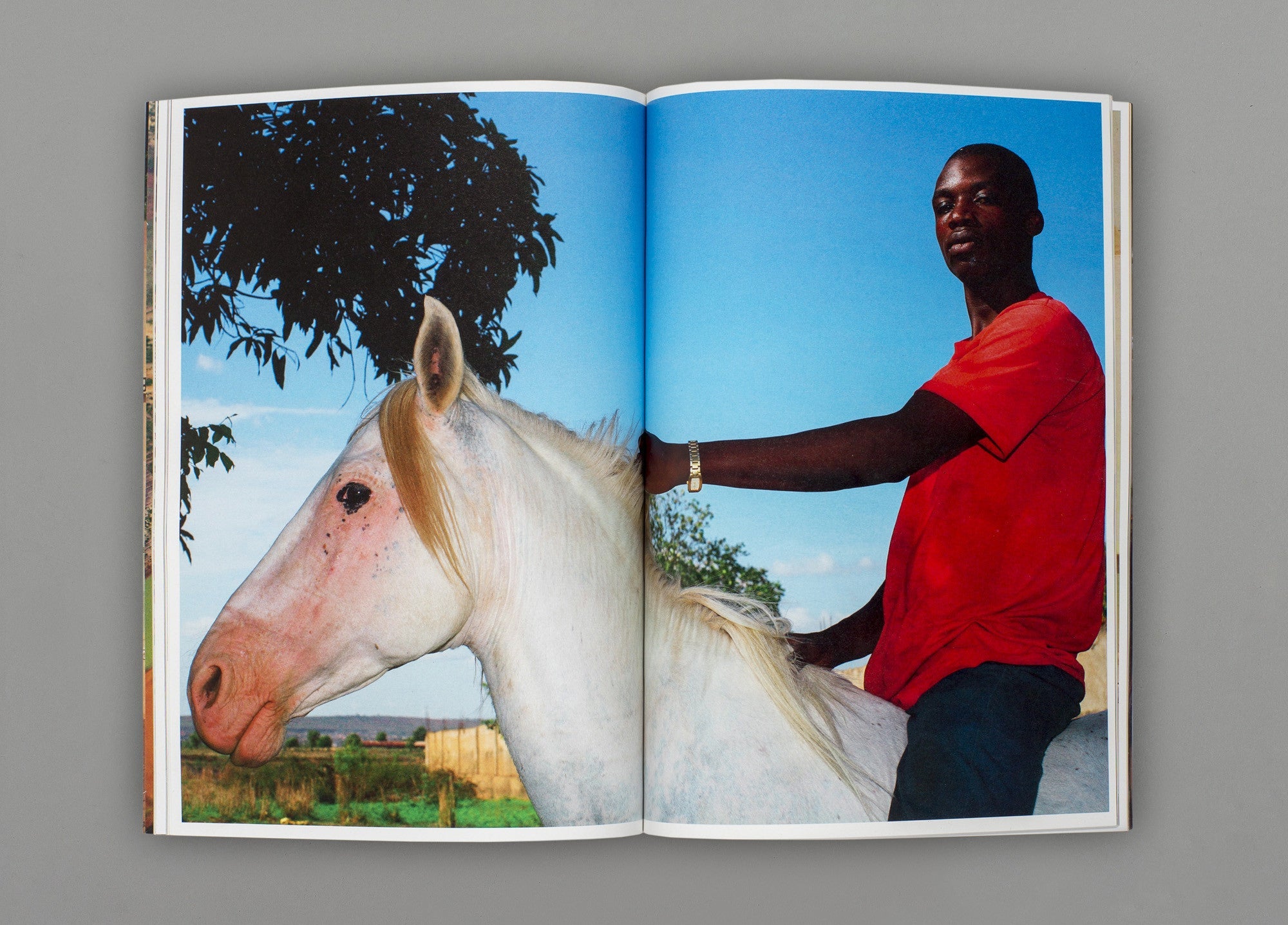 El Blanco - Ricardo Cases & Iván del Rey de la Torre