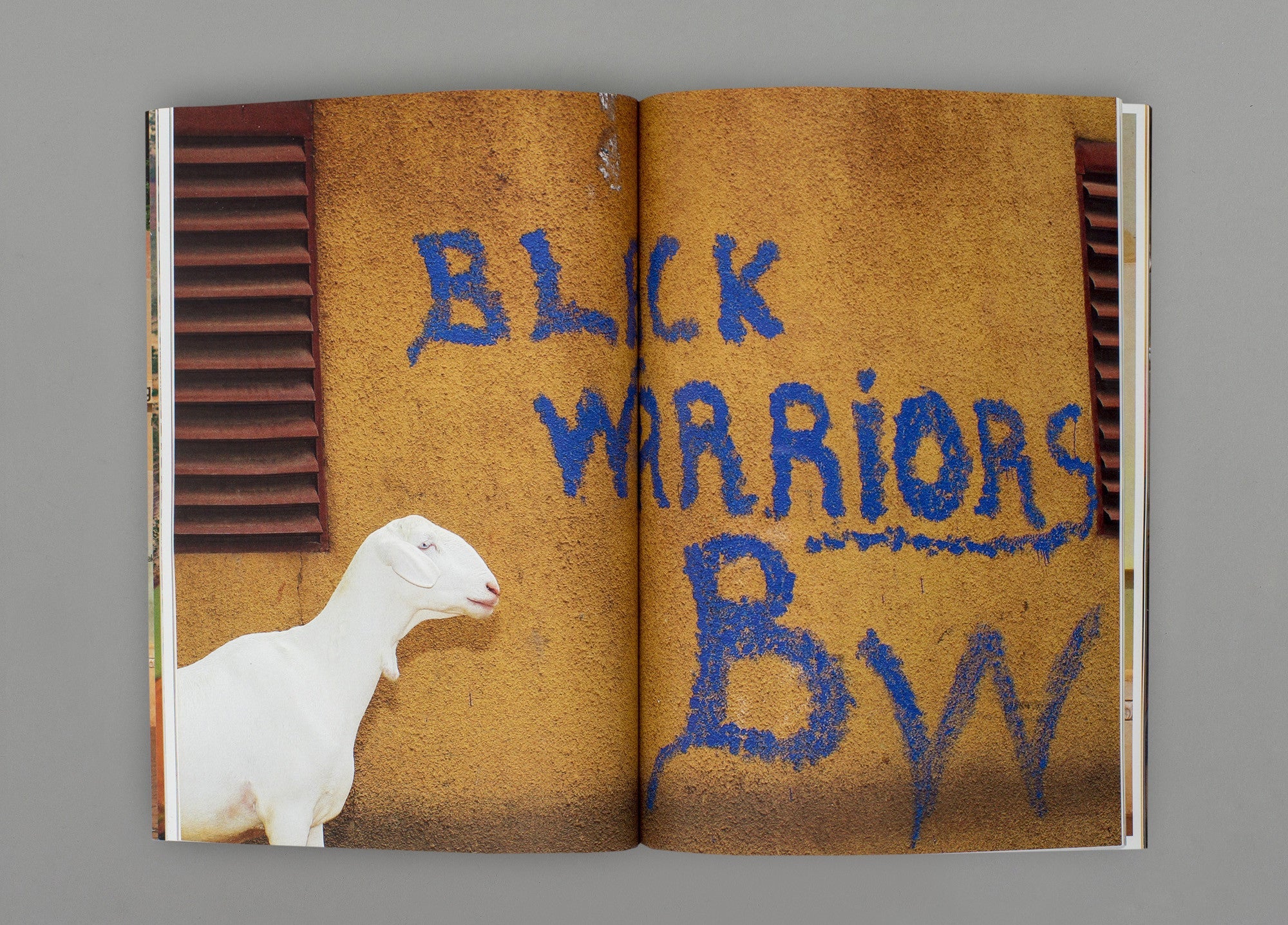 El Blanco - Ricardo Cases & Iván del Rey de la Torre