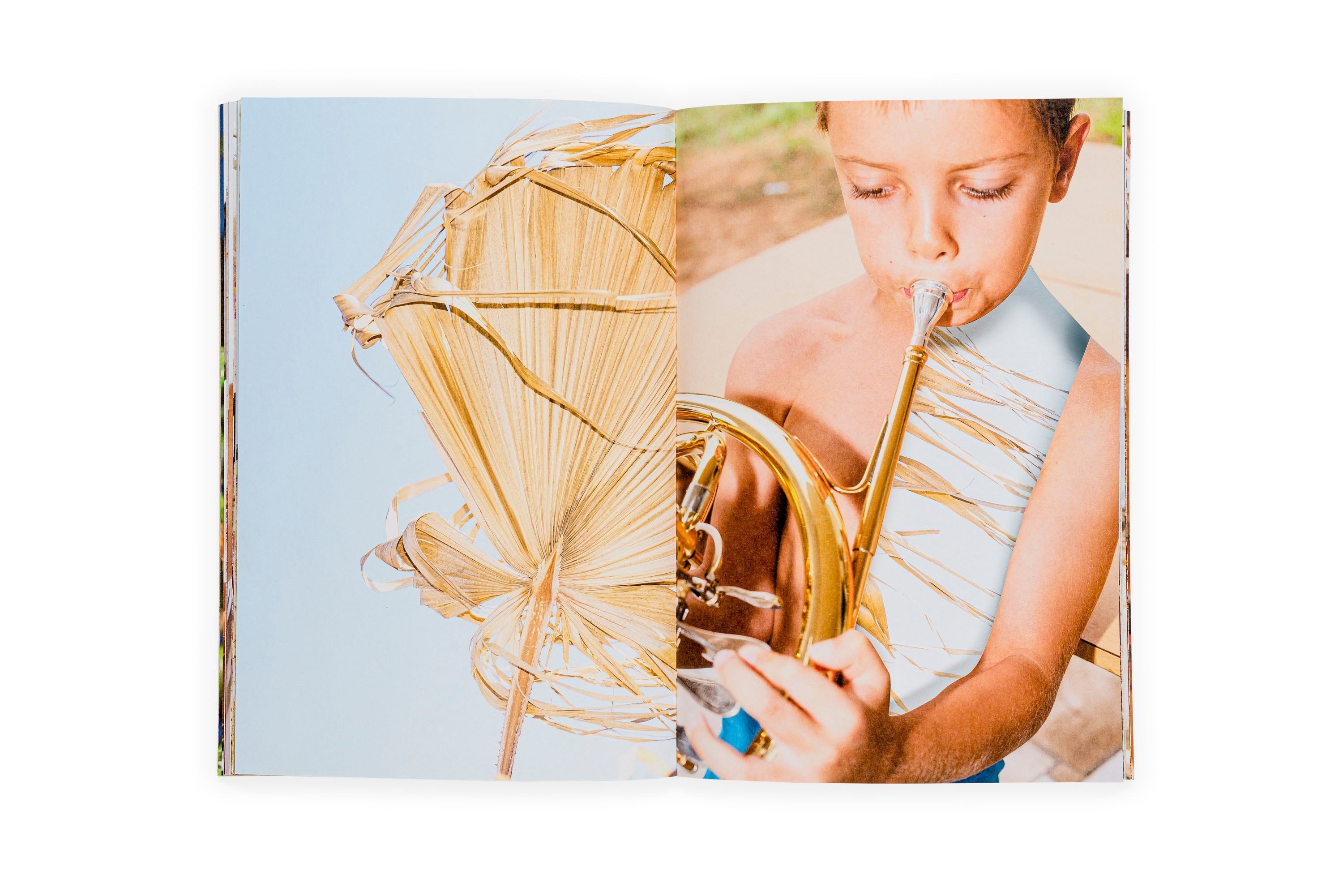 Estudio elemental del Levante - Ricardo Cases