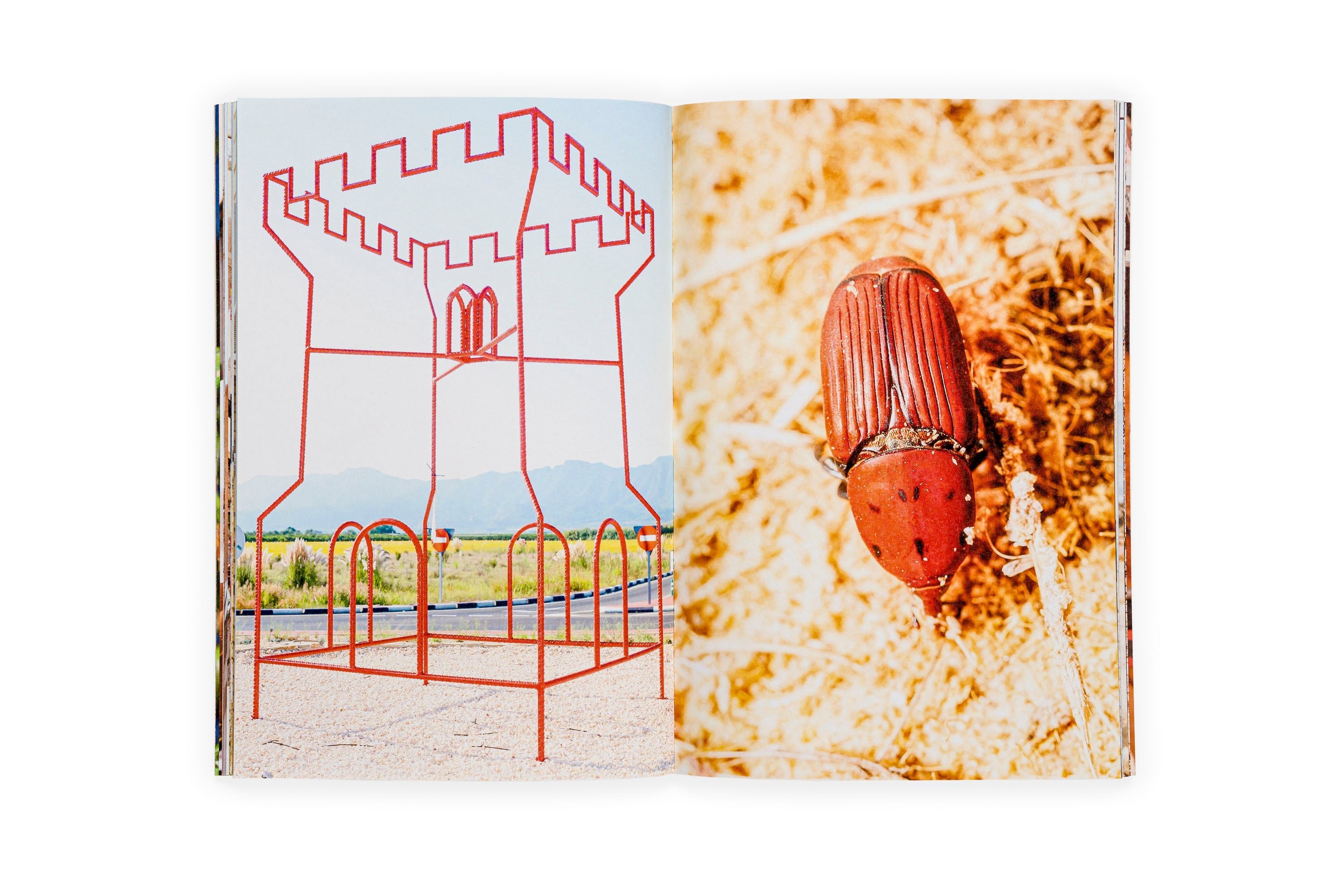 Estudio elemental del Levante - Ricardo Cases