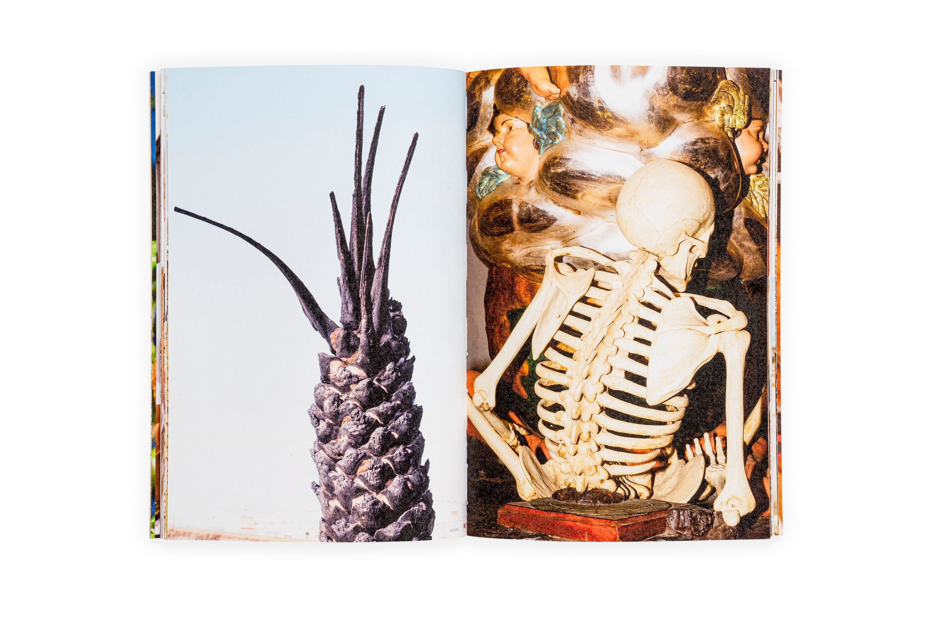 Estudio elemental del Levante - Ricardo Cases