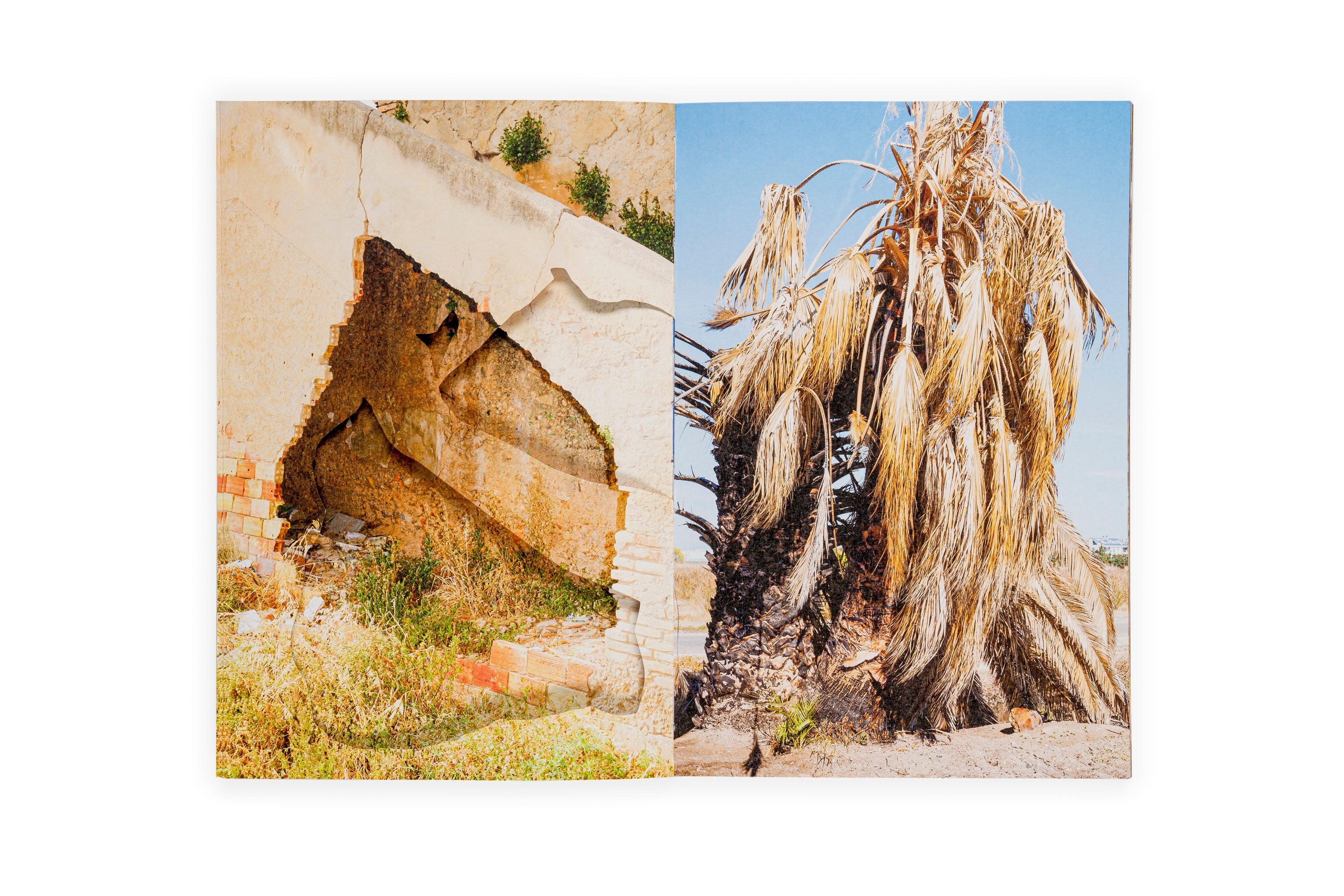 Estudio elemental del Levante - Ricardo Cases