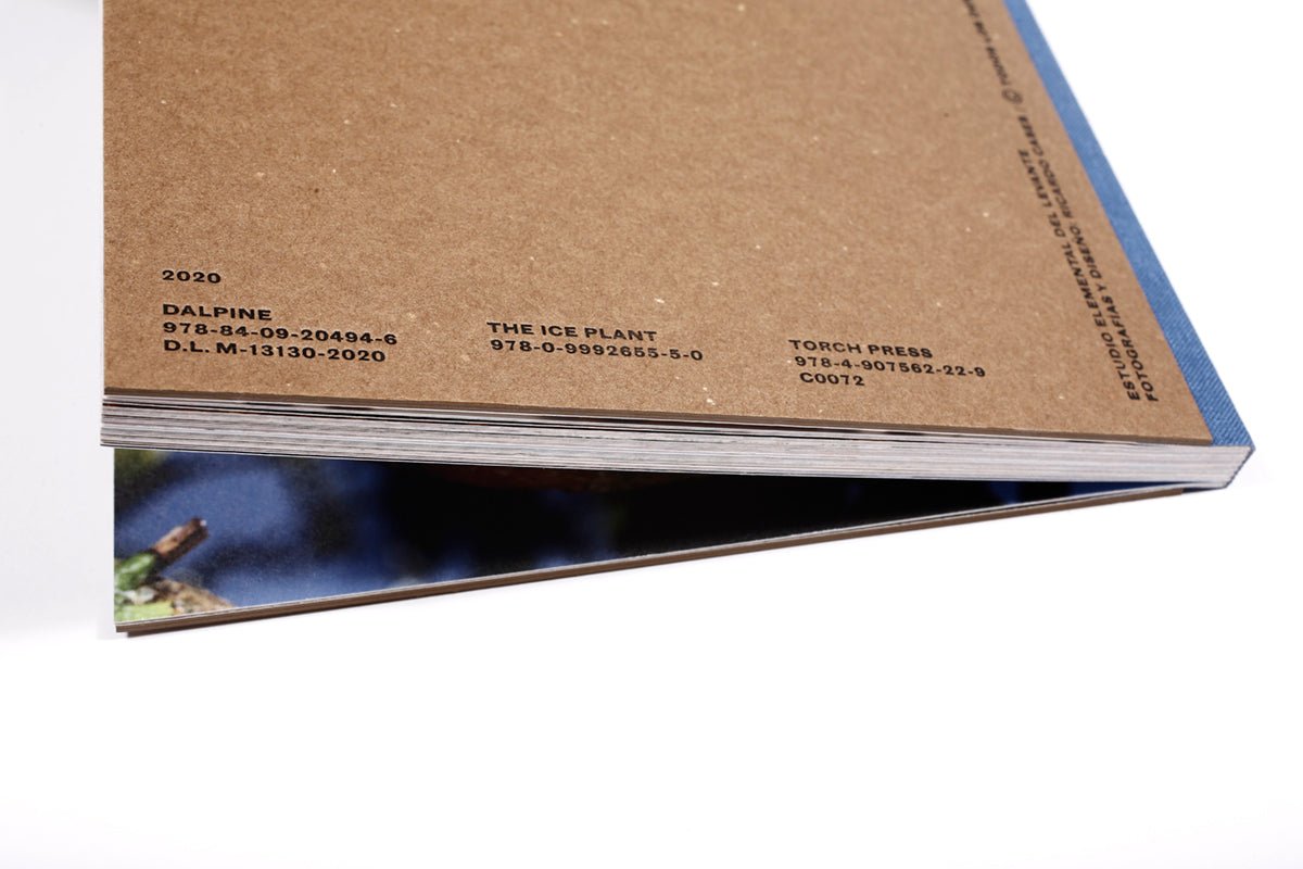 Estudio elemental del Levante - Ricardo Cases