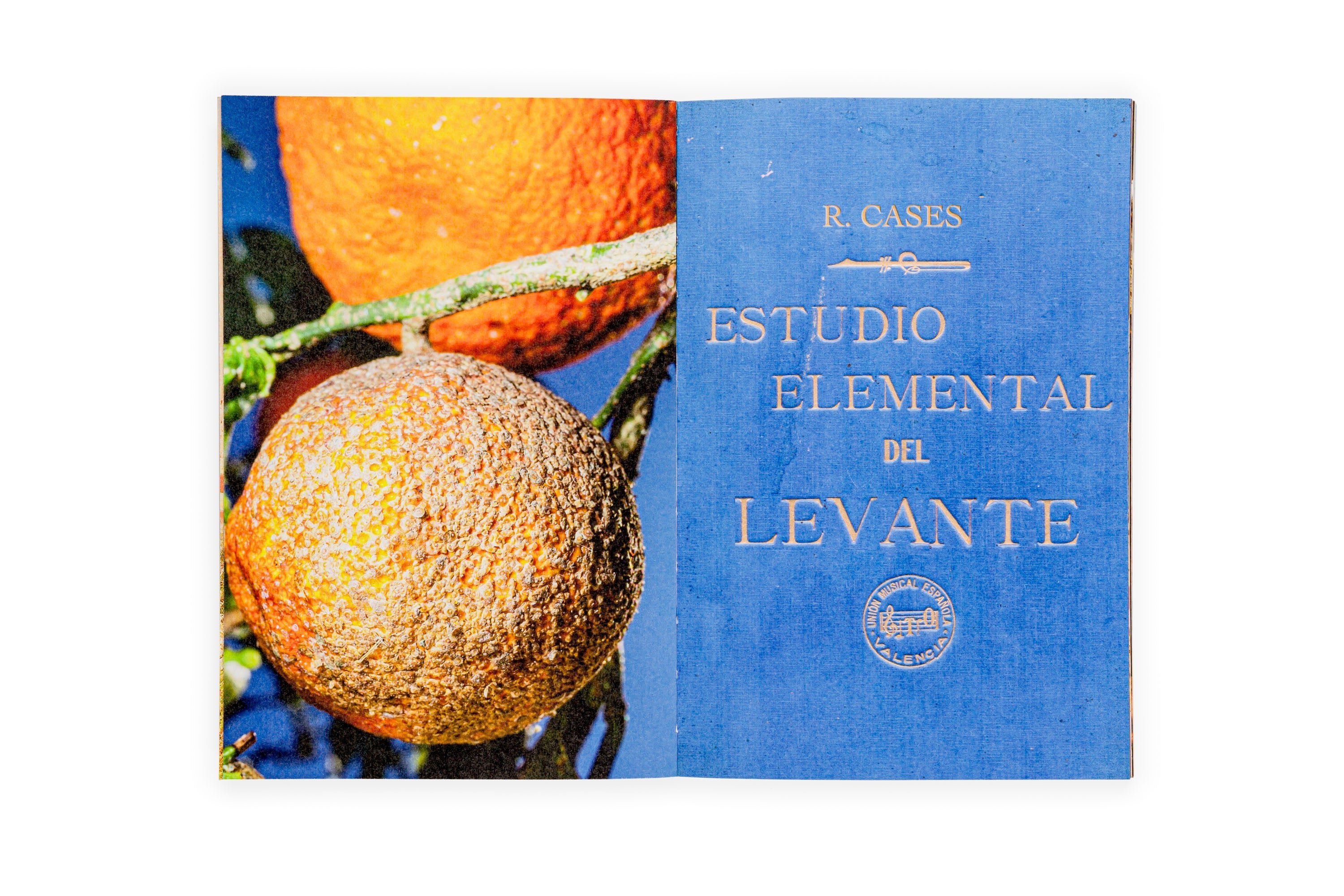 Estudio elemental del Levante - Ricardo Cases