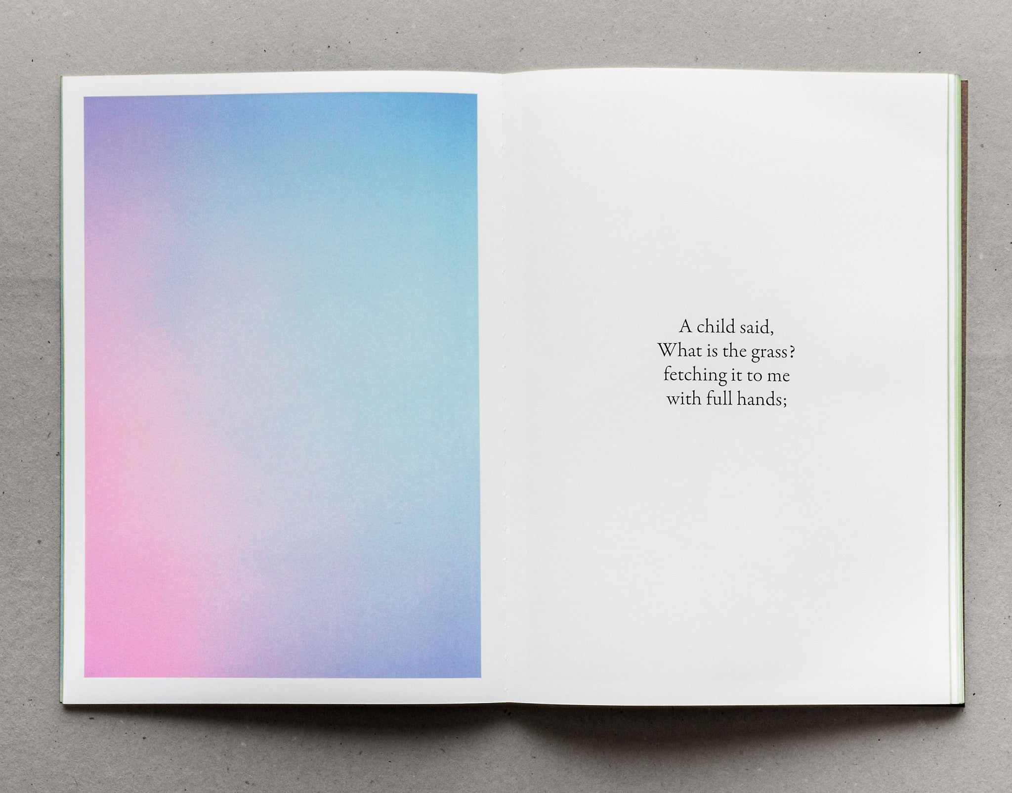 Grass - Michele Tagliaferri