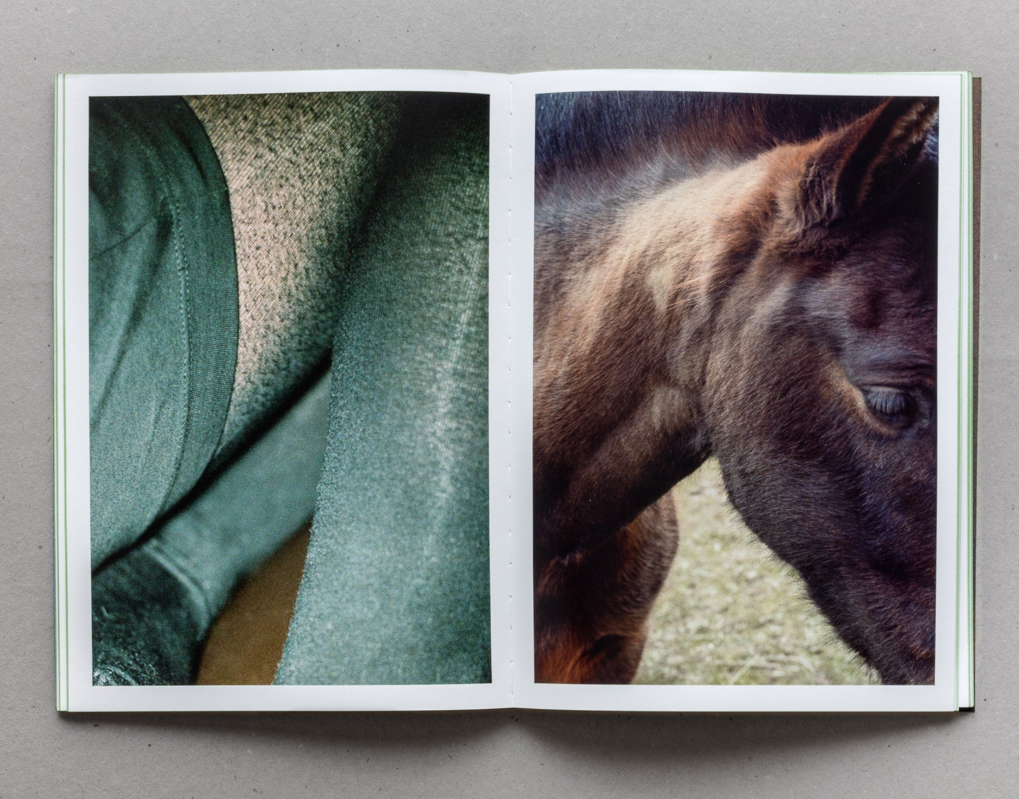 Grass - Michele Tagliaferri