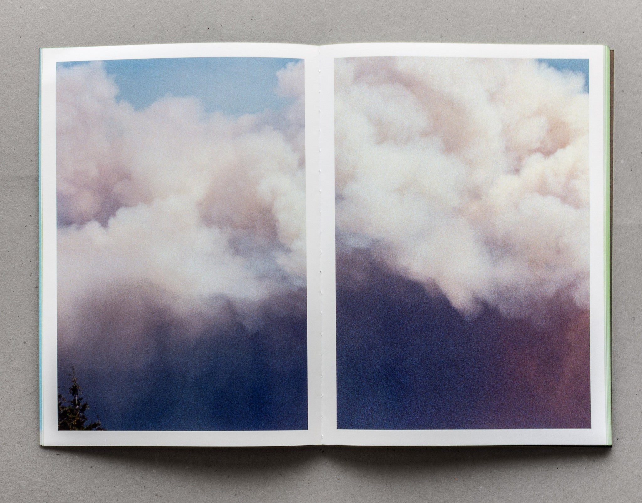 Grass - Michele Tagliaferri