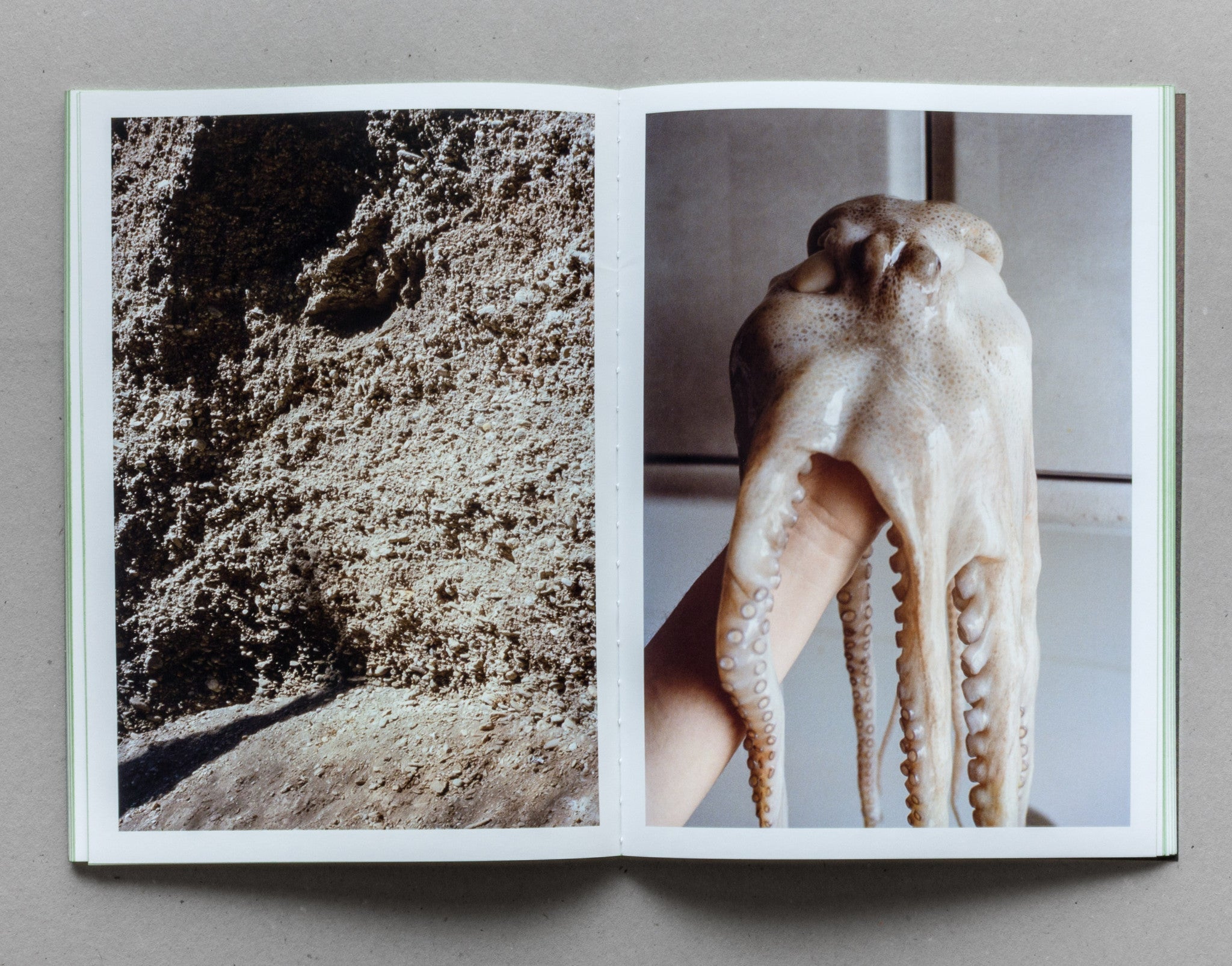 Grass - Michele Tagliaferri