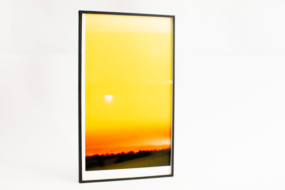 Agosto Collectors Edition by Michele Tagliaferri – Dalpine