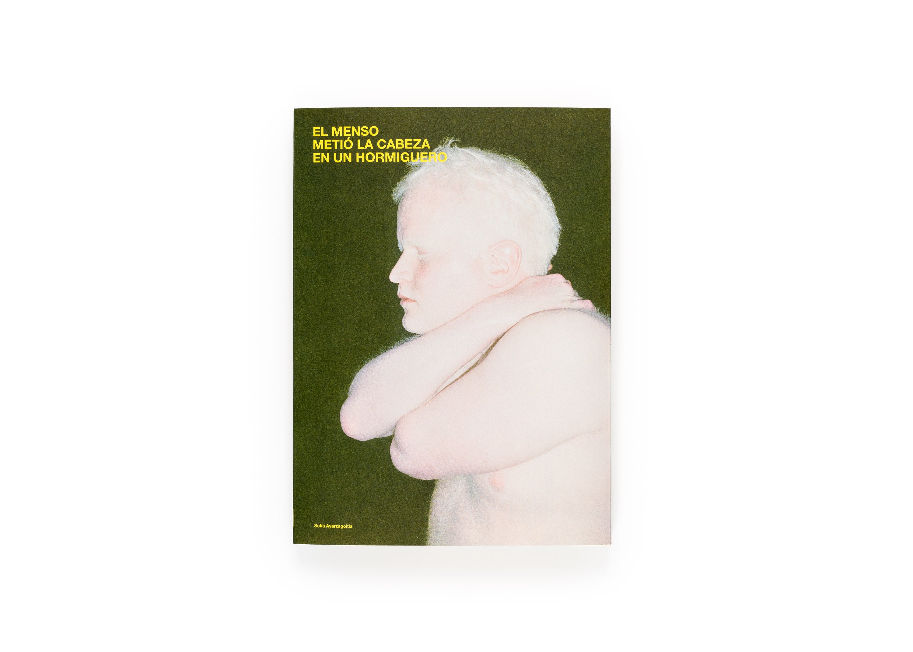 Sofia Ayarzagoitia - El menso metió la cabeza en un hormiguero