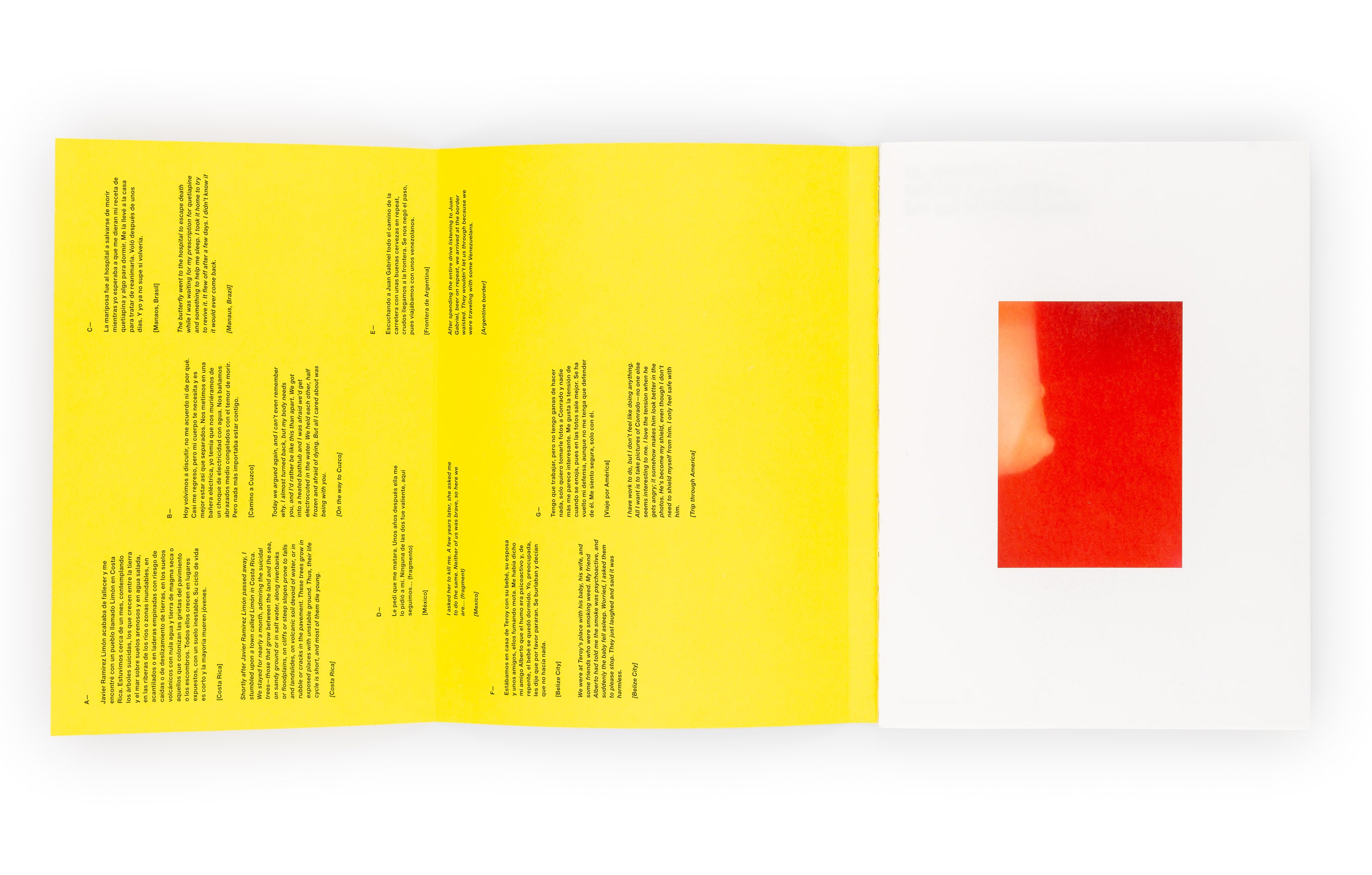 Sofia Ayarzagoitia - El menso metió la cabeza en un hormiguero