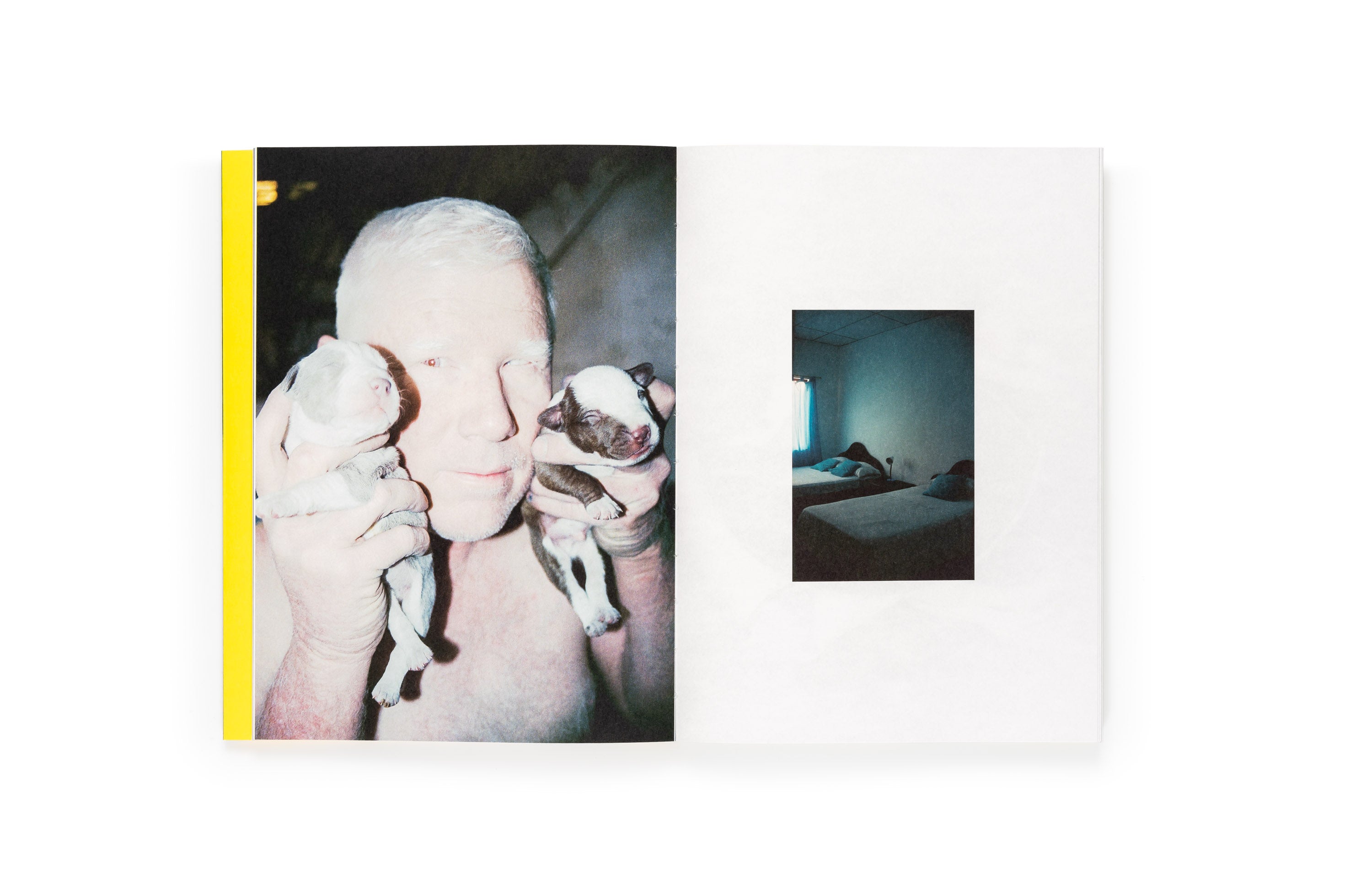 Sofia Ayarzagoitia - El menso metió la cabeza en un hormiguero