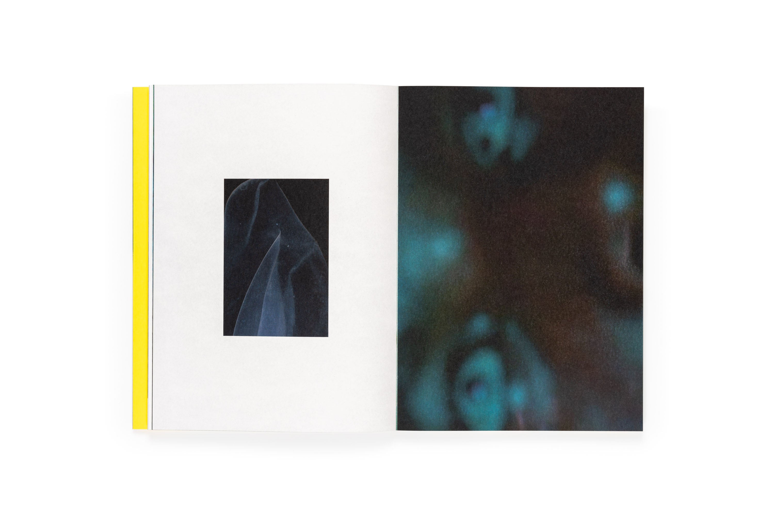 Sofia Ayarzagoitia - El menso metió la cabeza en un hormiguero