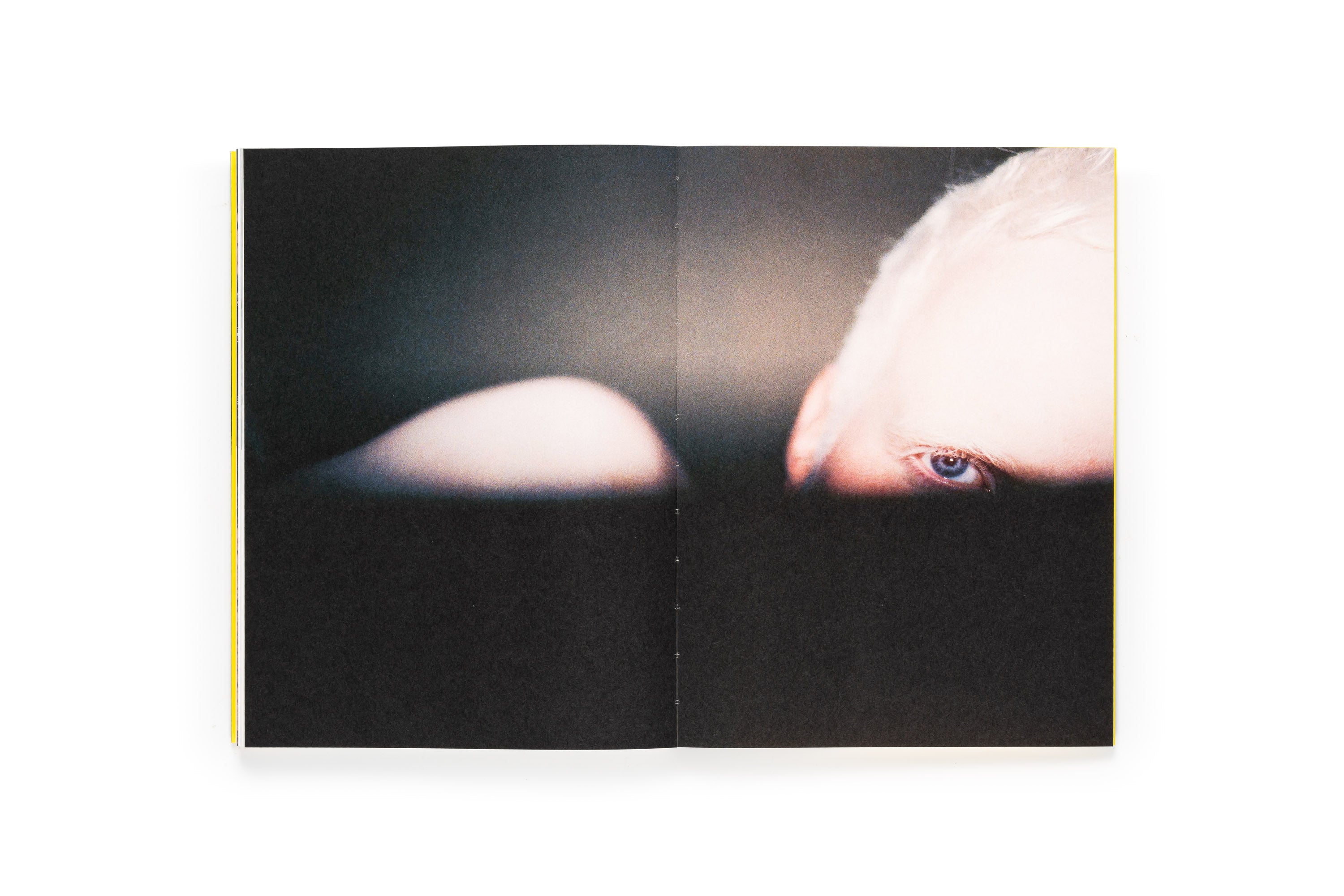 Sofia Ayarzagoitia - El menso metió la cabeza en un hormiguero