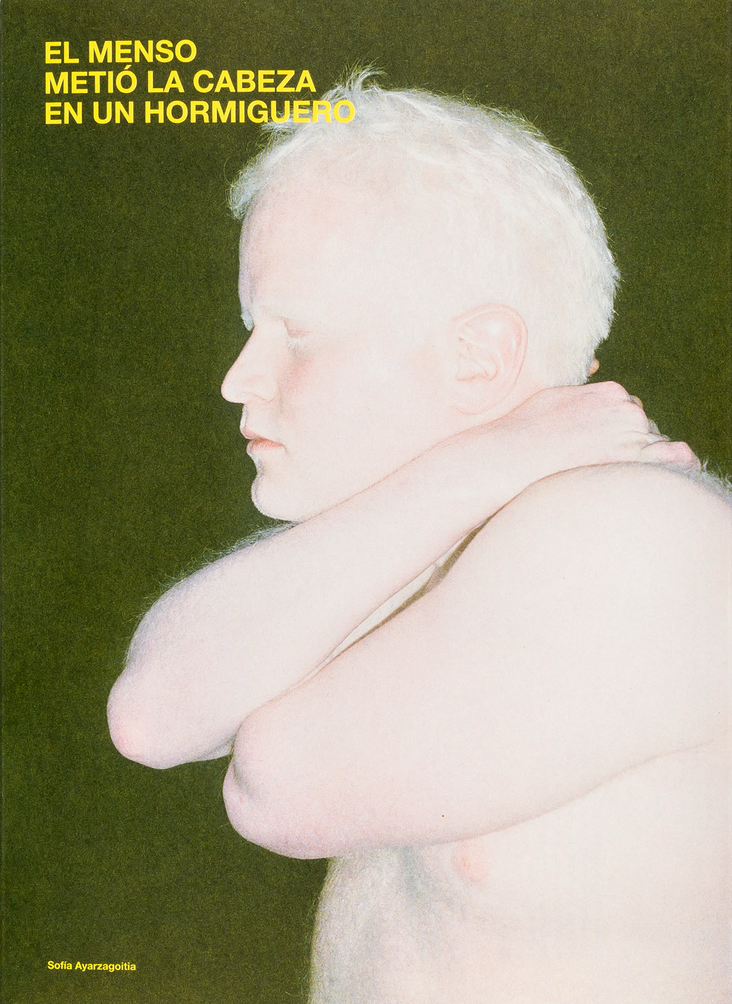 Sofia Ayarzagoitia - El menso metió la cabeza en un hormiguero