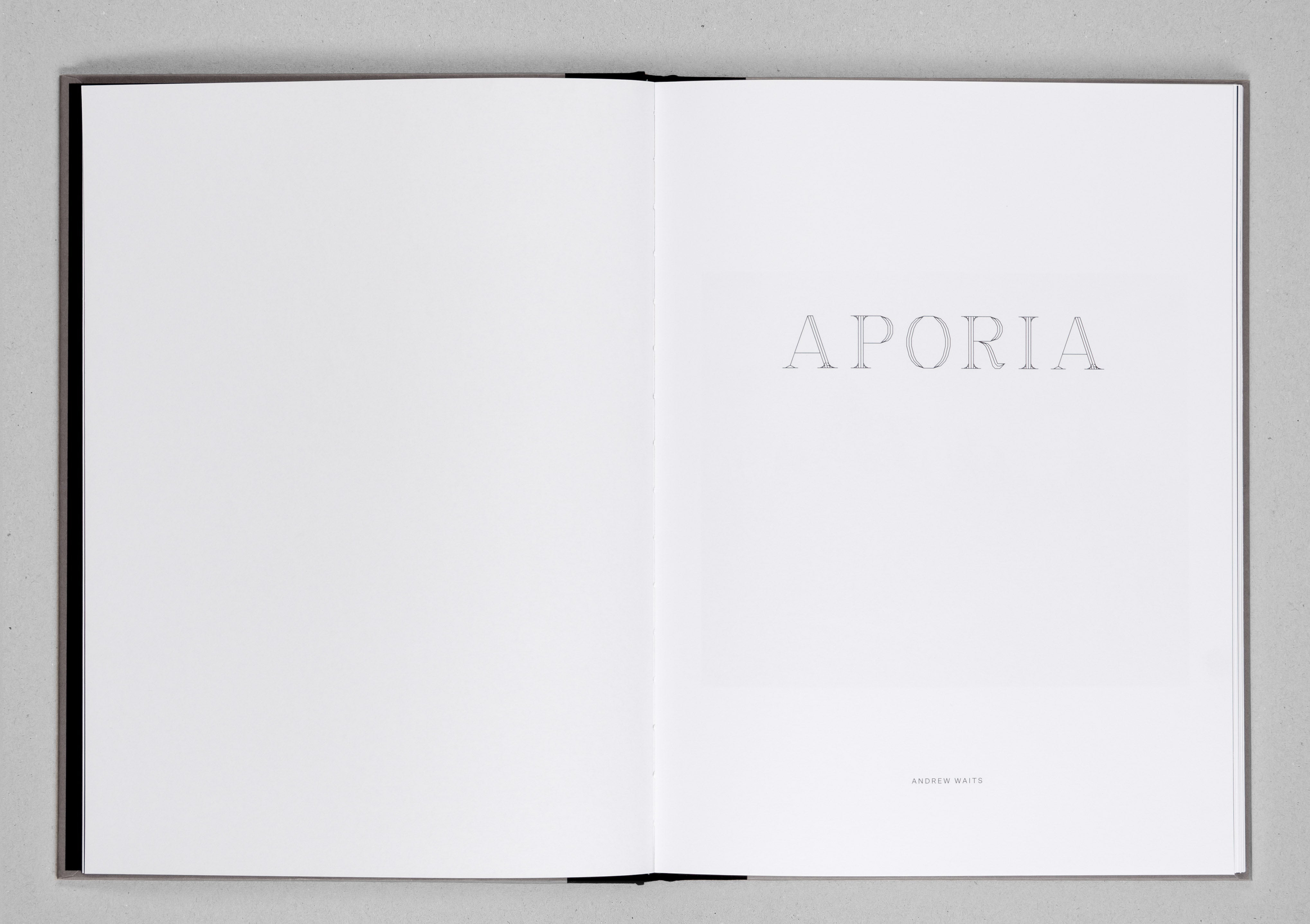 Aporia - Andrew Waits