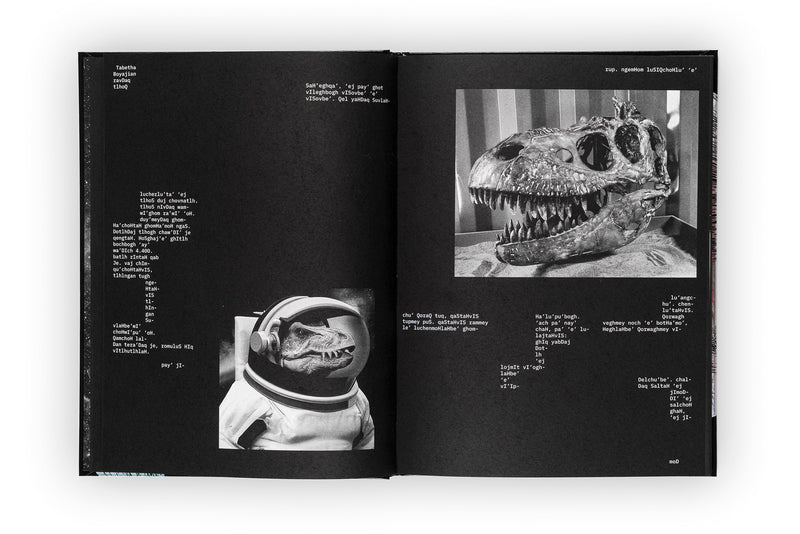 Joan Fontcuberta - Dinosaur – Dalpine
