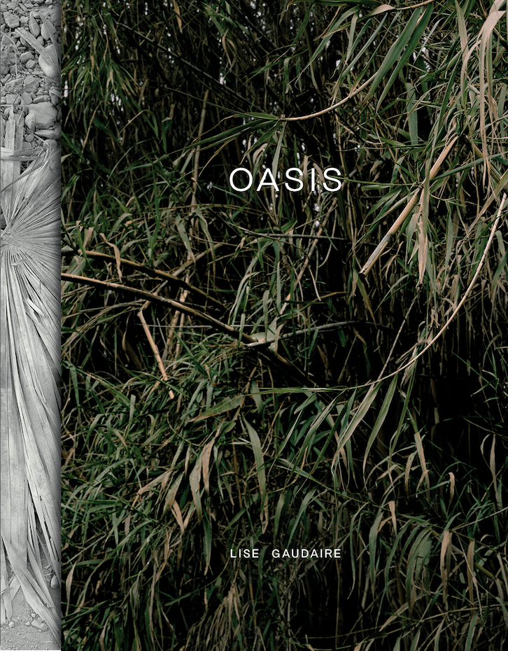 Oasis - Lise Gaudaire